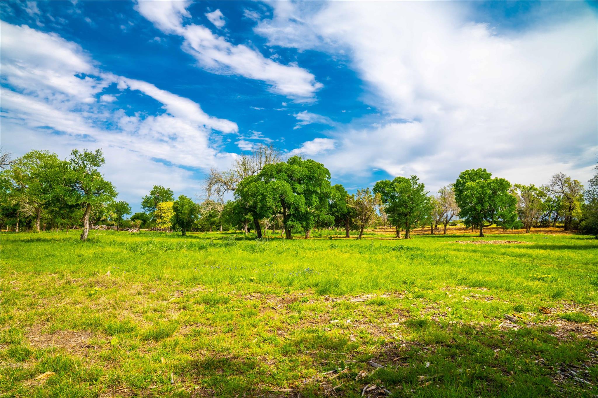 TBD Tracts 5 and 6 CR 251, Georgetown, TX 78633