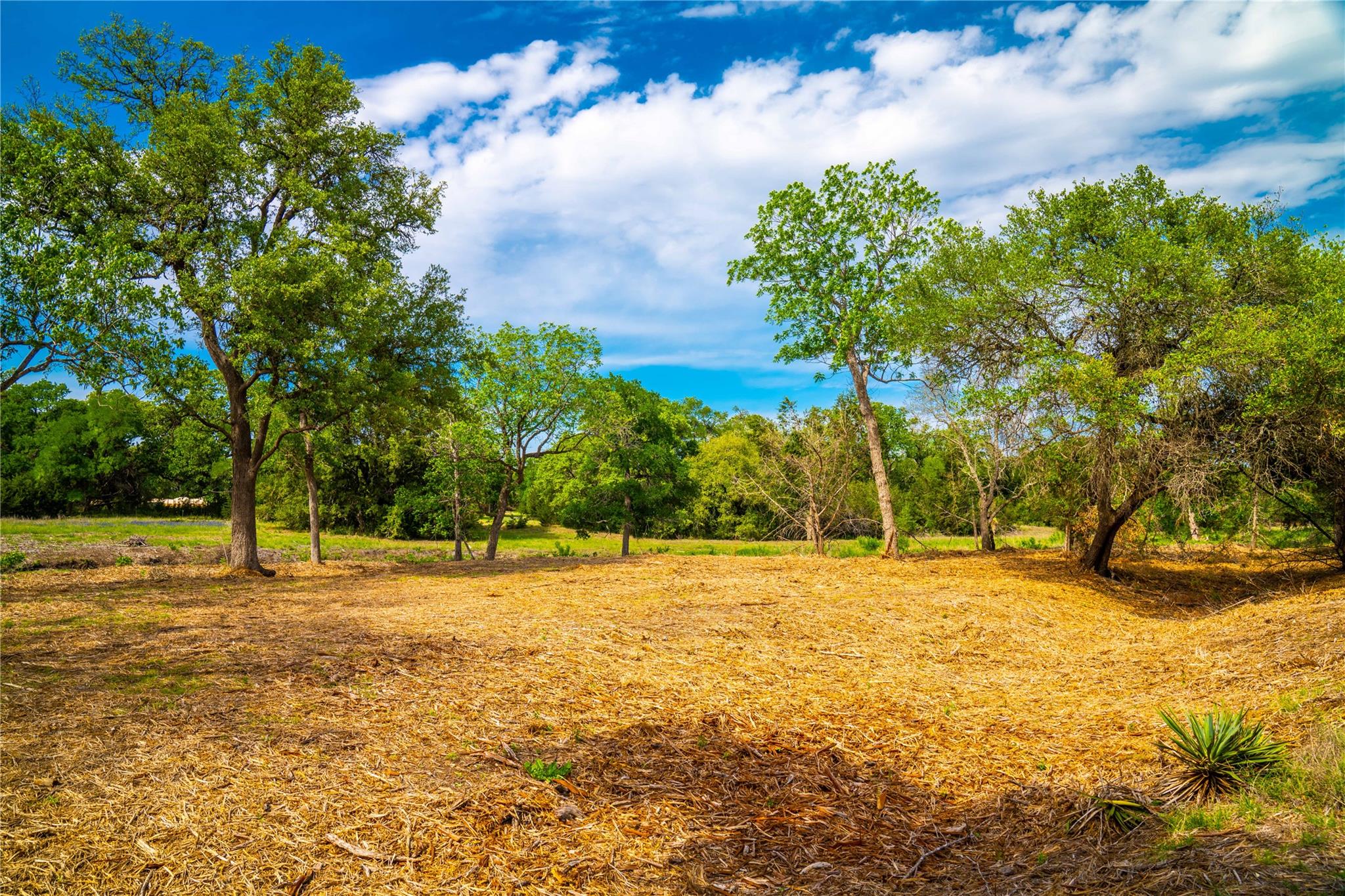 TBD Tracts 5 and 6 CR 251, Georgetown, TX 78633