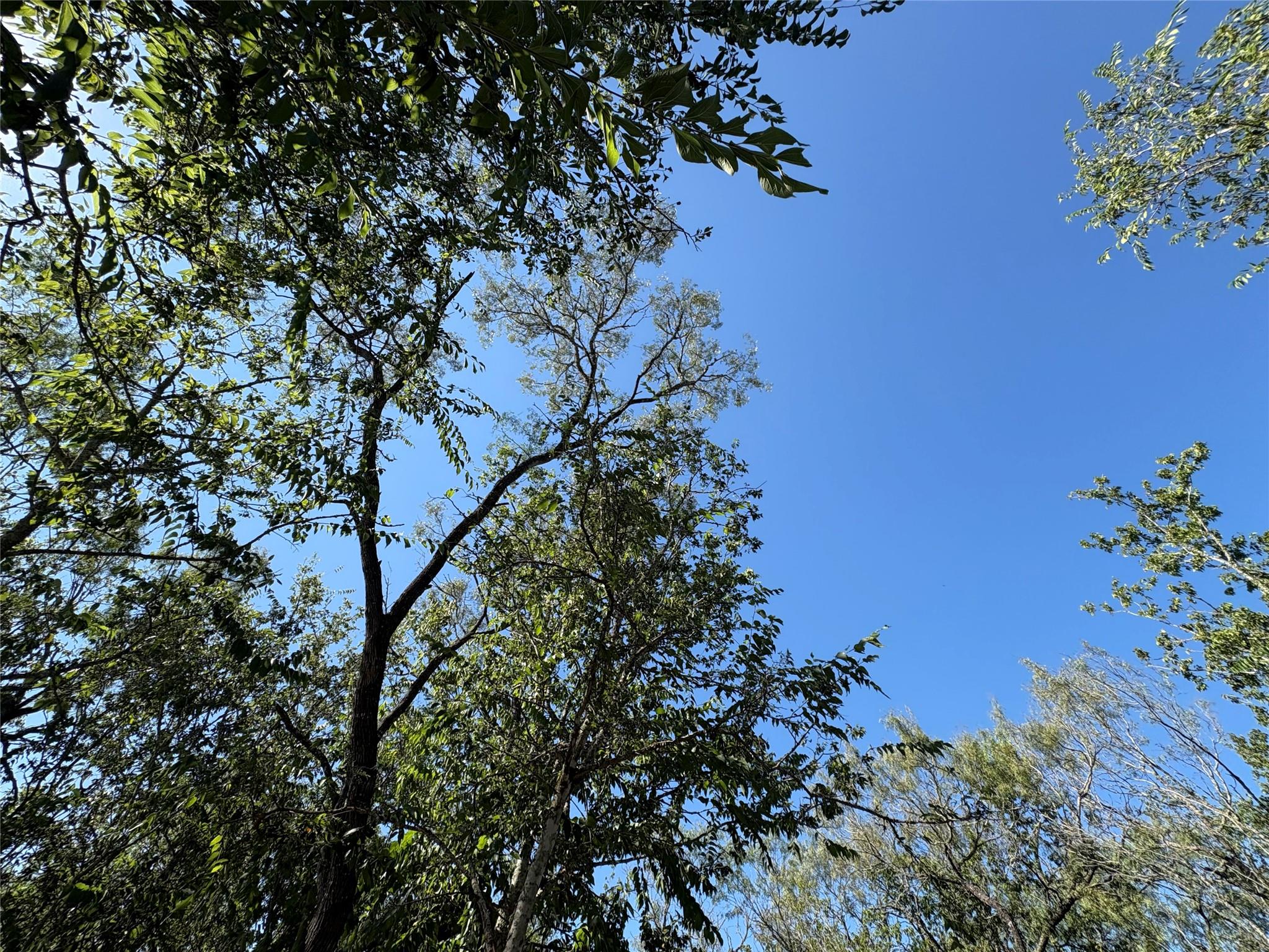 1359 Acorn Rd, Lockhart, TX 78644