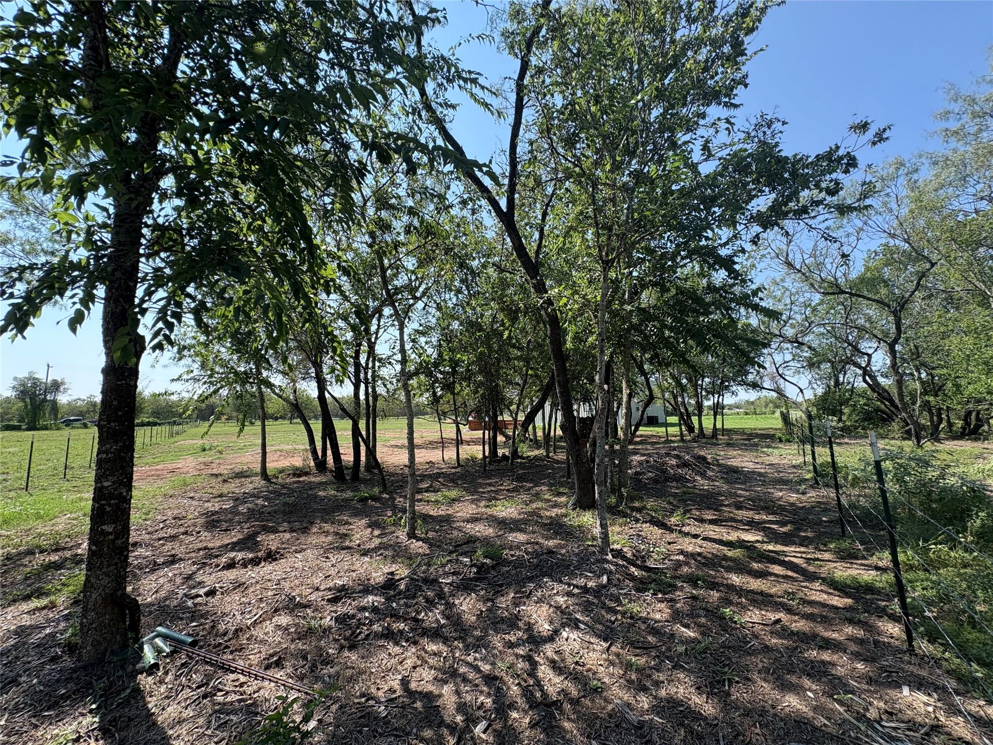 1359 Acorn Rd, Lockhart, TX 78644