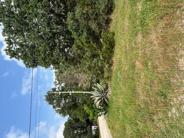 TBD Wigwam (Lots 87 & 88) St, Smithville, TX 78957