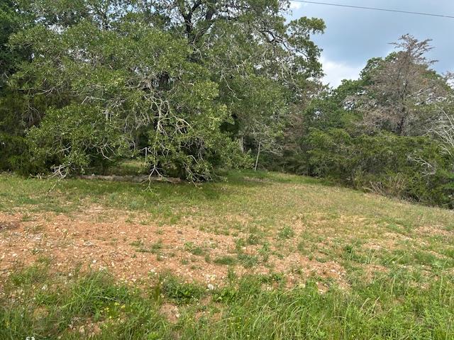 TBD Wigwam (Lots 87 & 88) St, Smithville, TX 78957