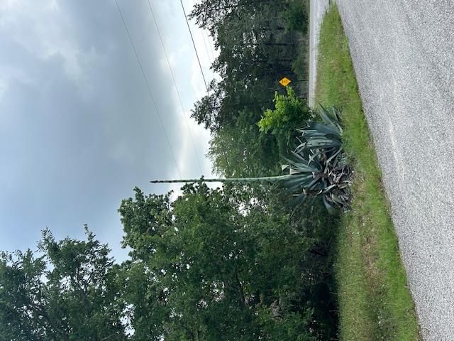 TBD Wigwam (Lots 87 & 88) St, Smithville, TX 78957