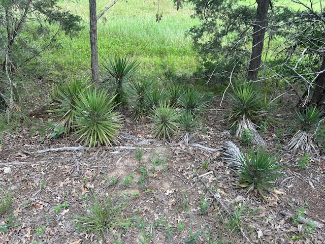 TBD Wigwam (Lots 87 & 88) St, Smithville, TX 78957