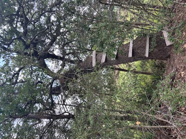 TBD Wigwam (Lots 87 & 88) St, Smithville, TX 78957