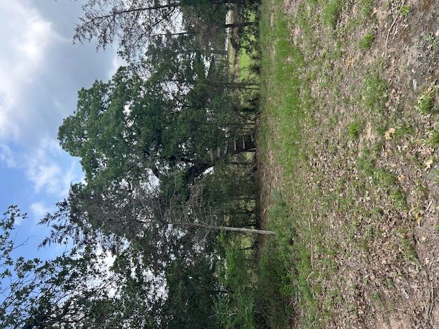 TBD Wigwam (Lots 87 & 88) St, Smithville, TX 78957