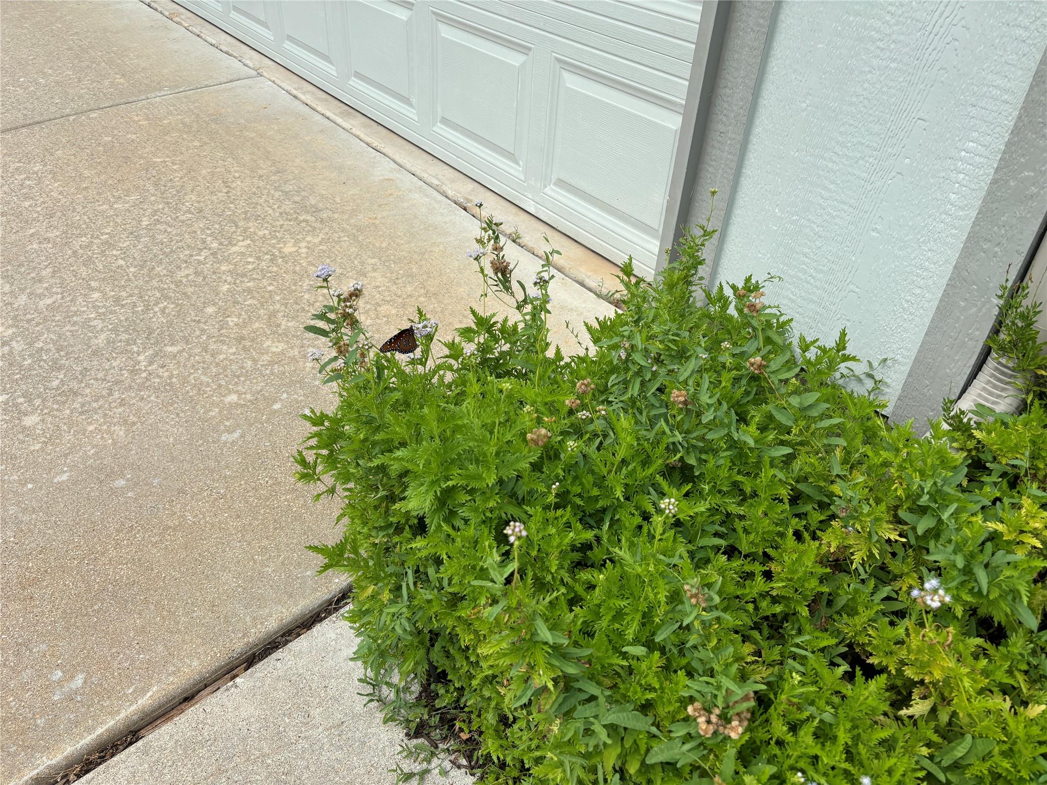 106 Bowie Cir, Georgetown, TX 78633