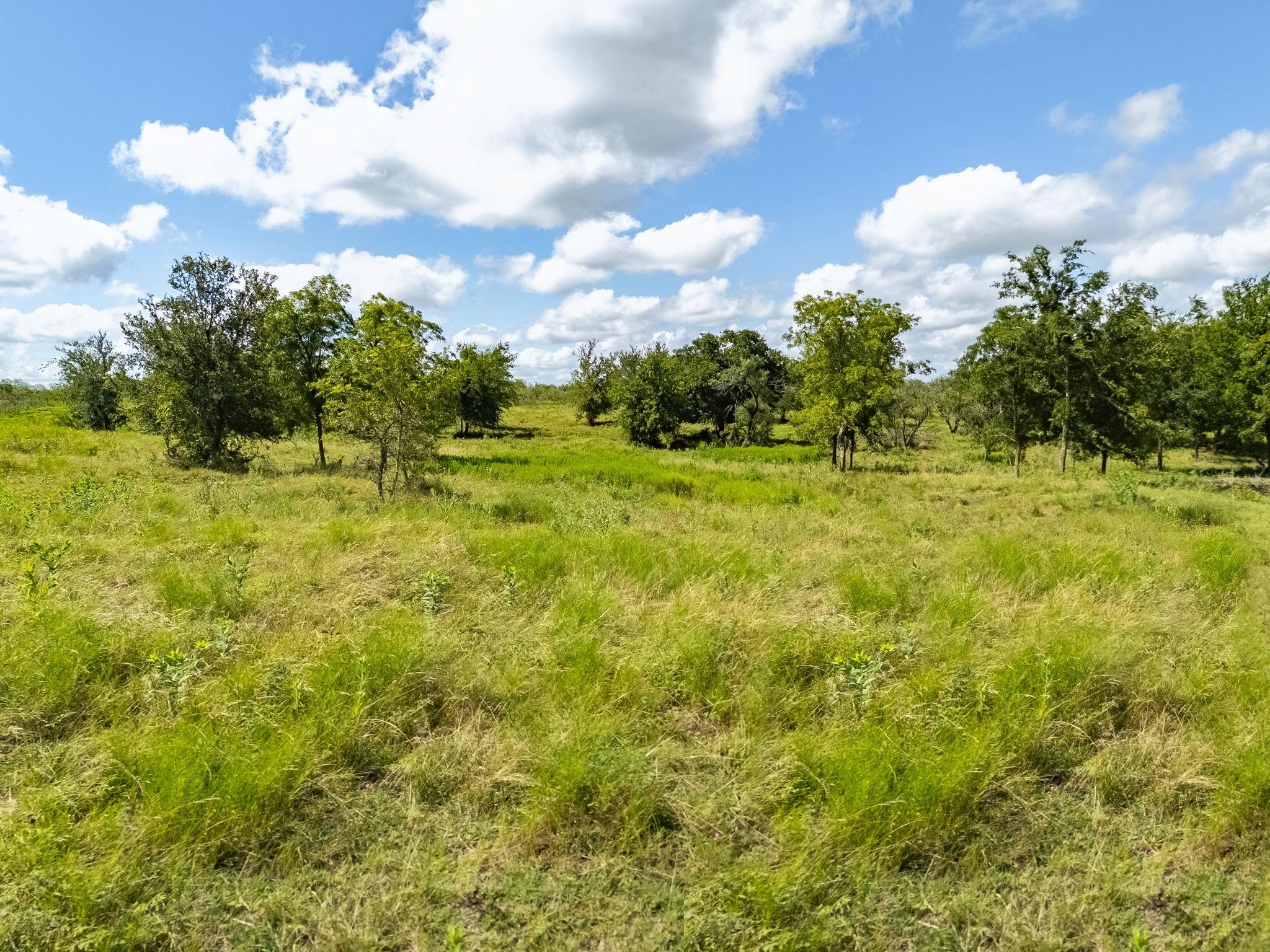 3280 County Road 466 Rd, Elgin, TX 78621