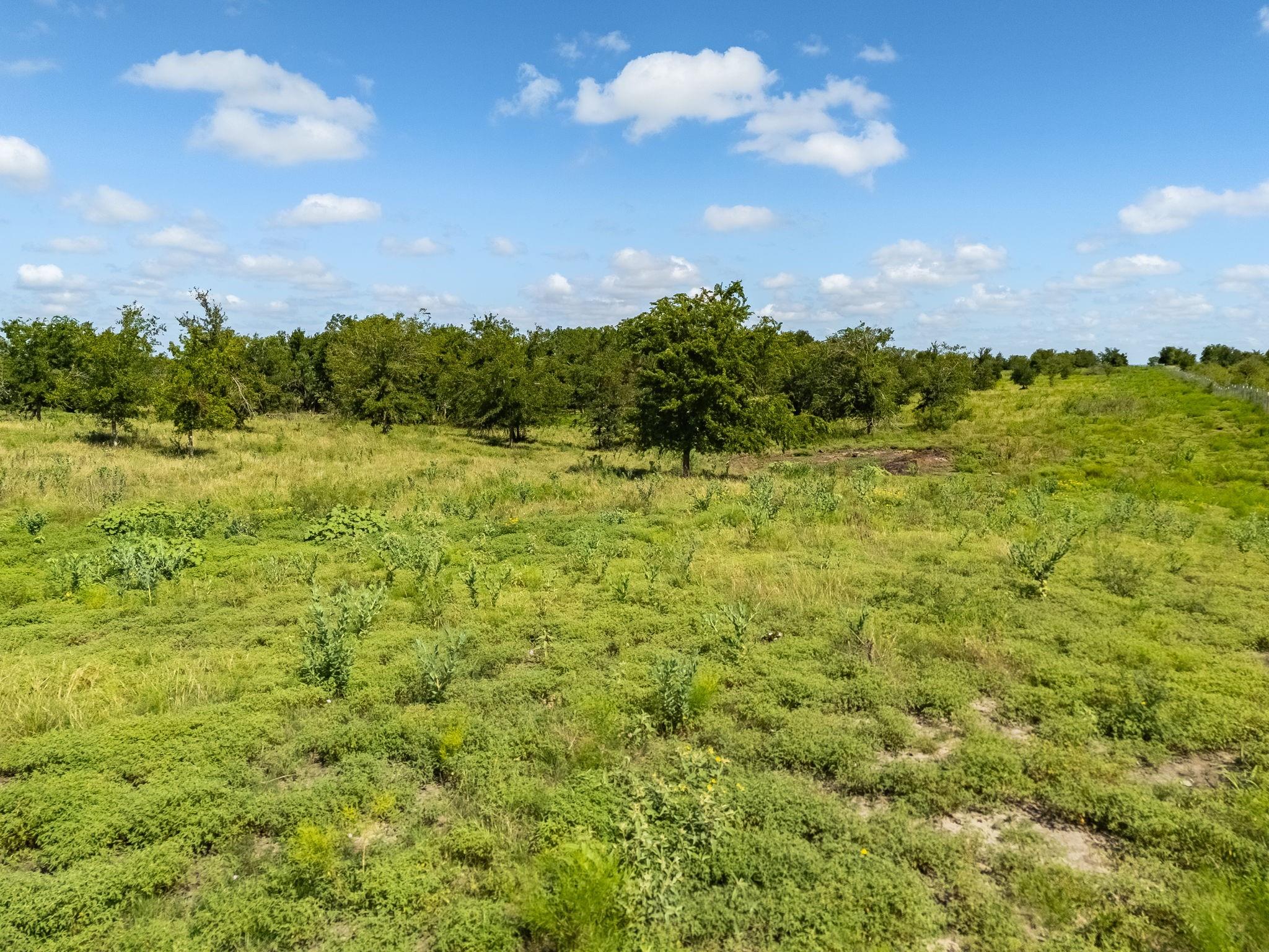 3280 County Road 466 Rd, Elgin, TX 78621