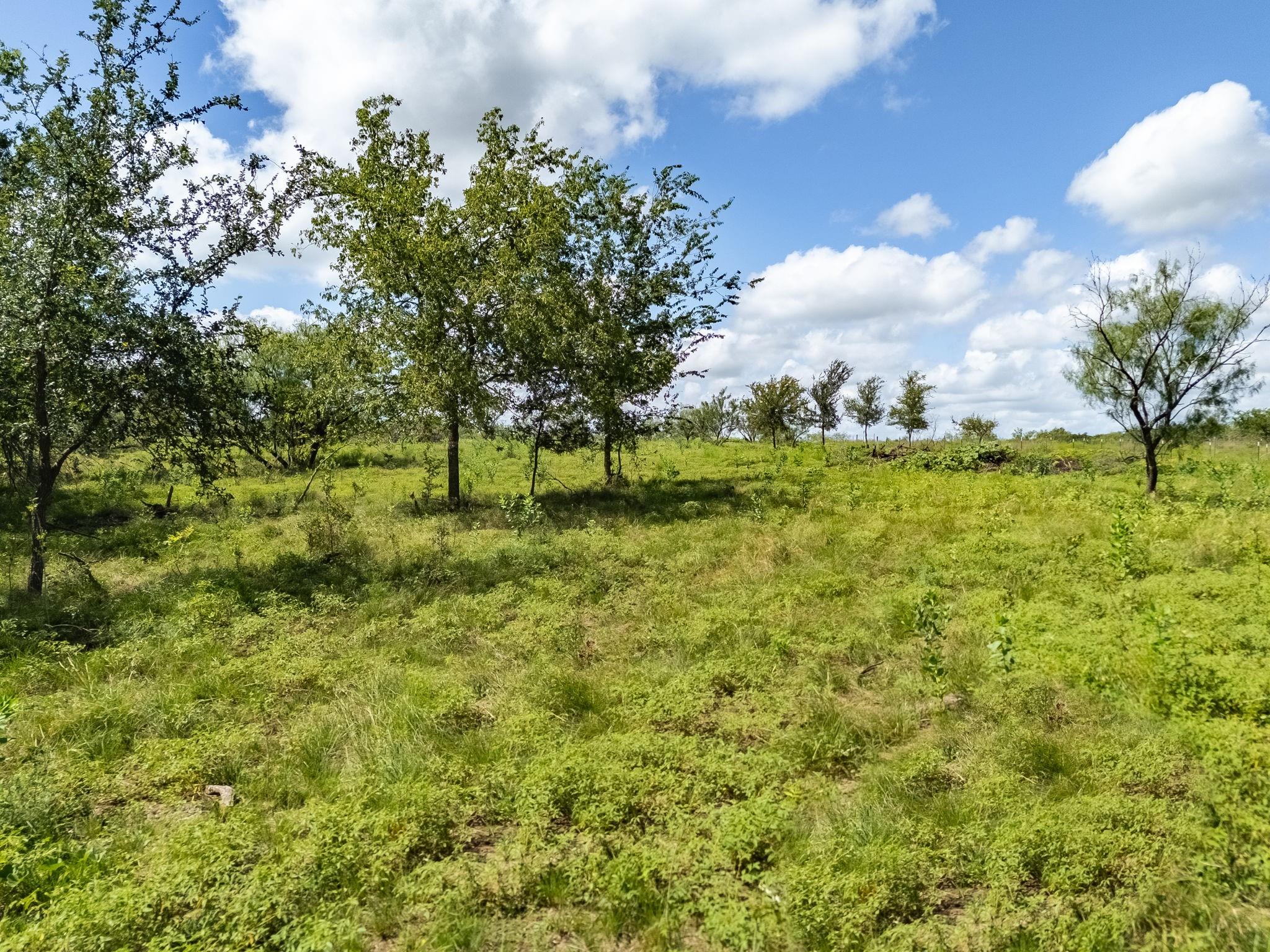 3280 County Road 466 Rd, Elgin, TX 78621