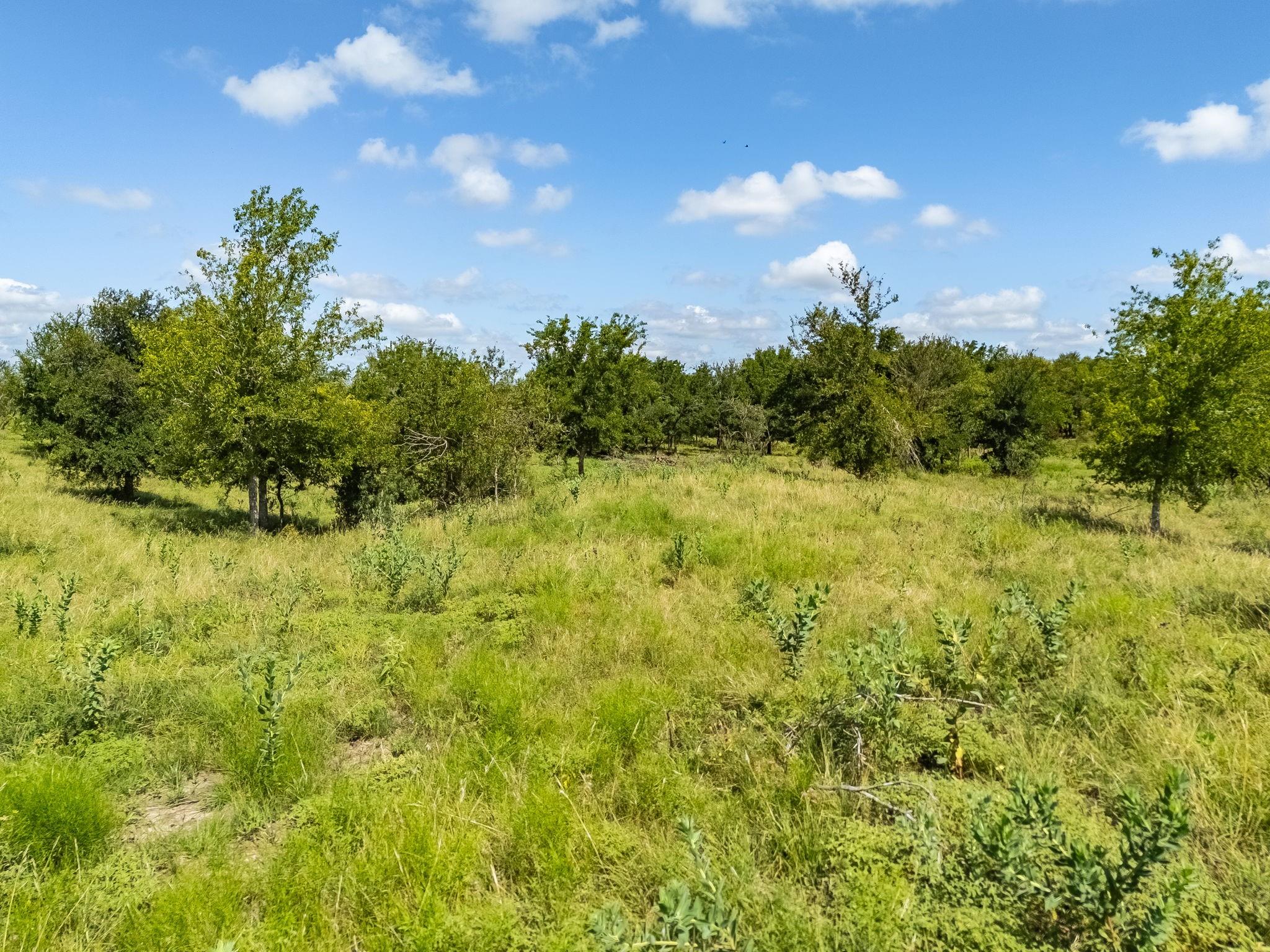 3280 County Road 466 Rd, Elgin, TX 78621