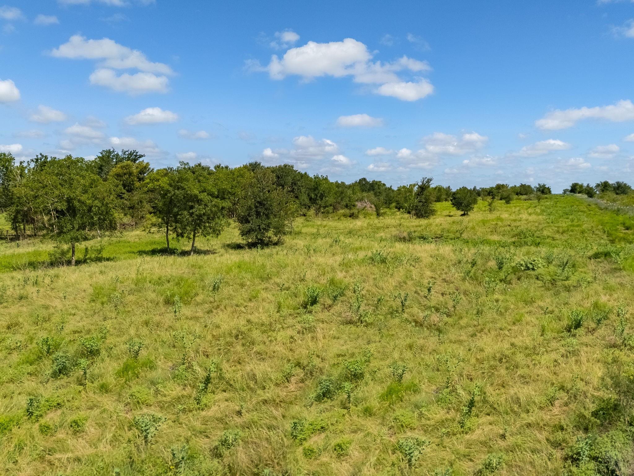 3280 County Road 466 Rd, Elgin, TX 78621