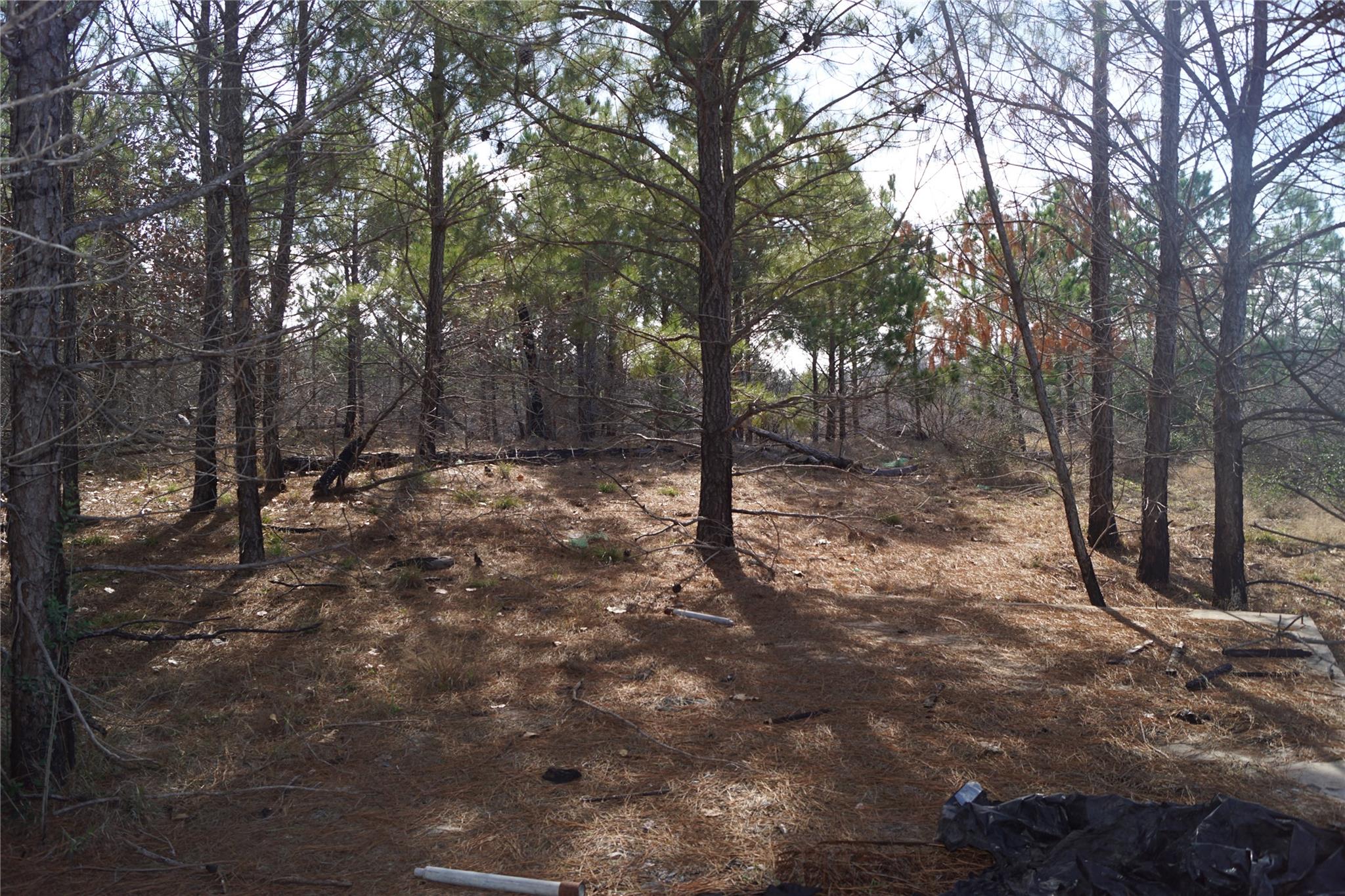 488 E Kelley Rd, Bastrop, TX 78602