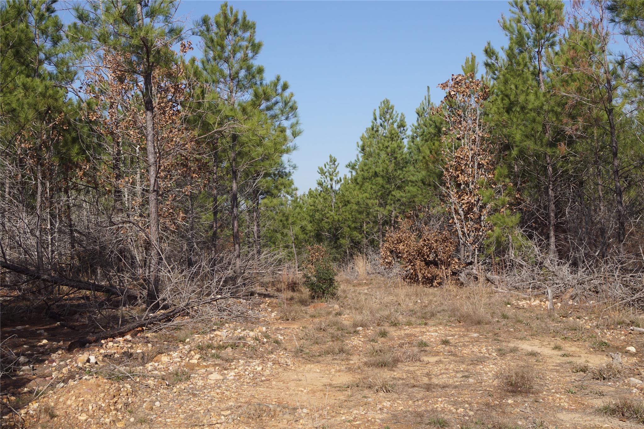 488 E Kelley Rd, Bastrop, TX 78602