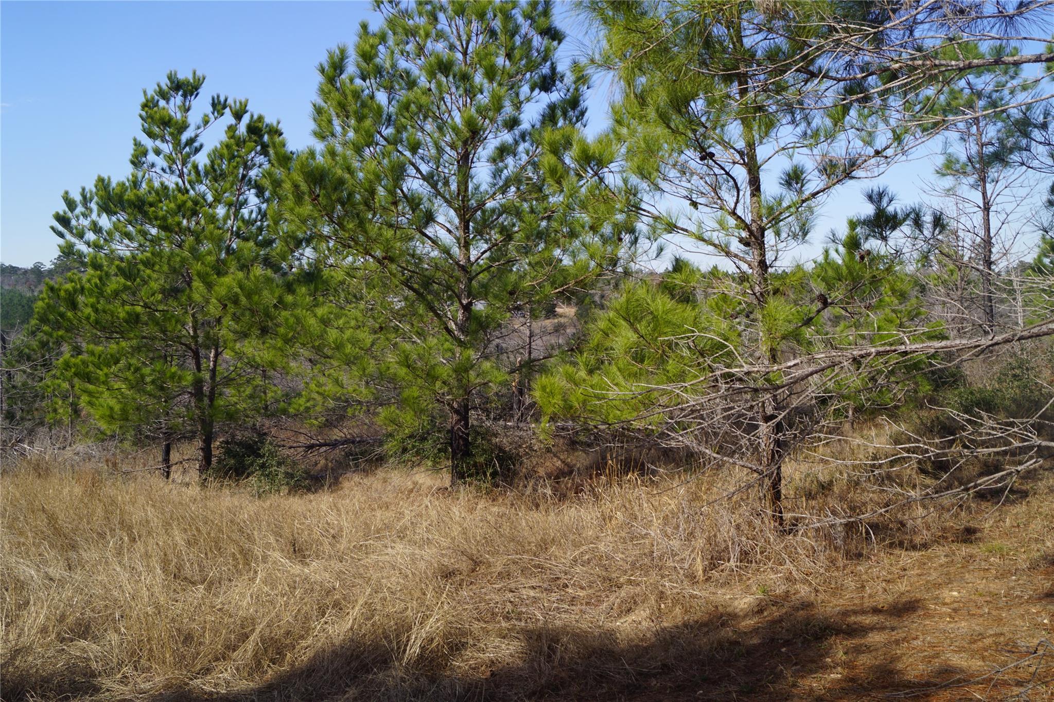 488 E Kelley Rd, Bastrop, TX 78602