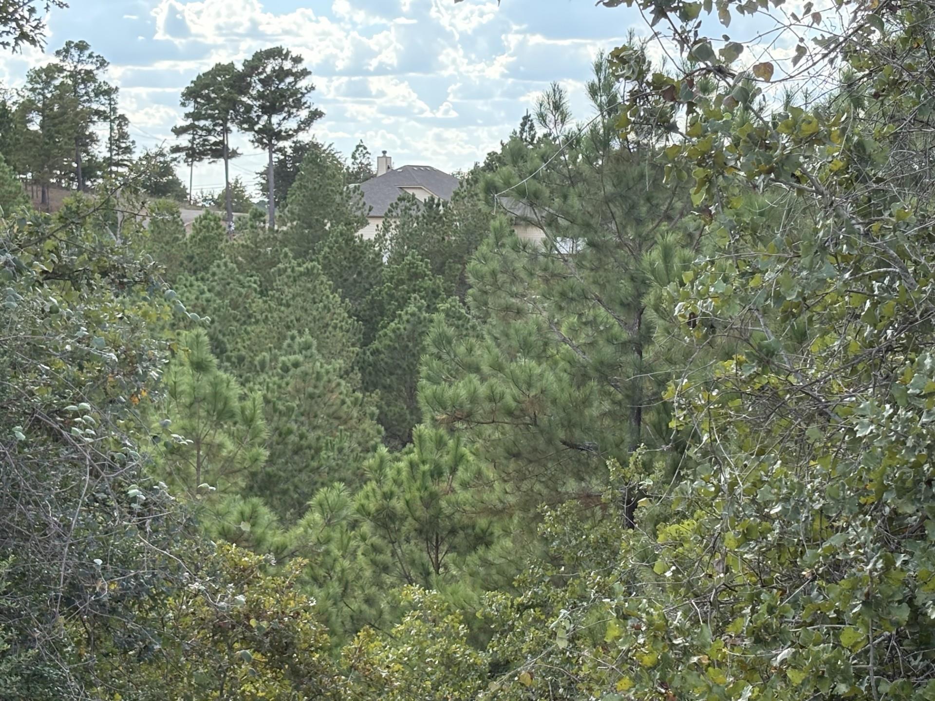 TBD Lot 35 Pinecrest Dr, Bastrop, TX 78602