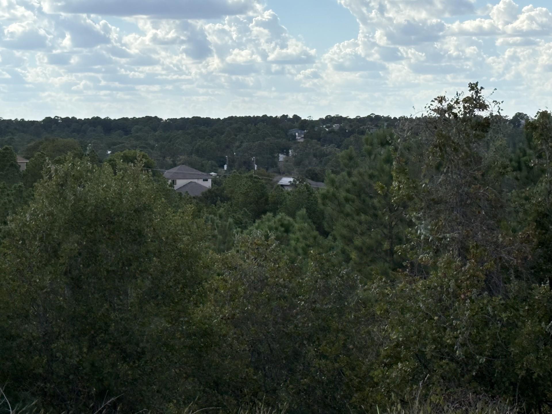 TBD Lot 35 Pinecrest Dr, Bastrop, TX 78602