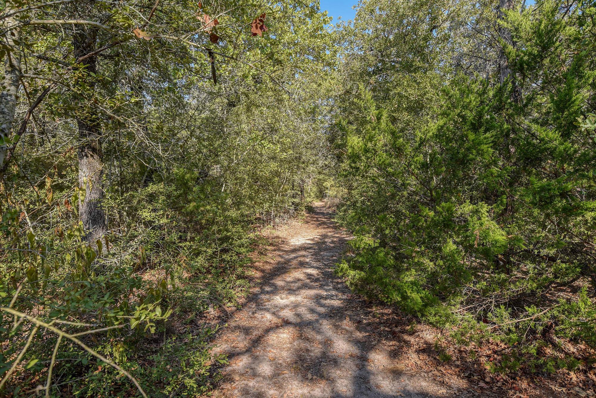 181 Lockwood Rd, Red Rock, TX 78662