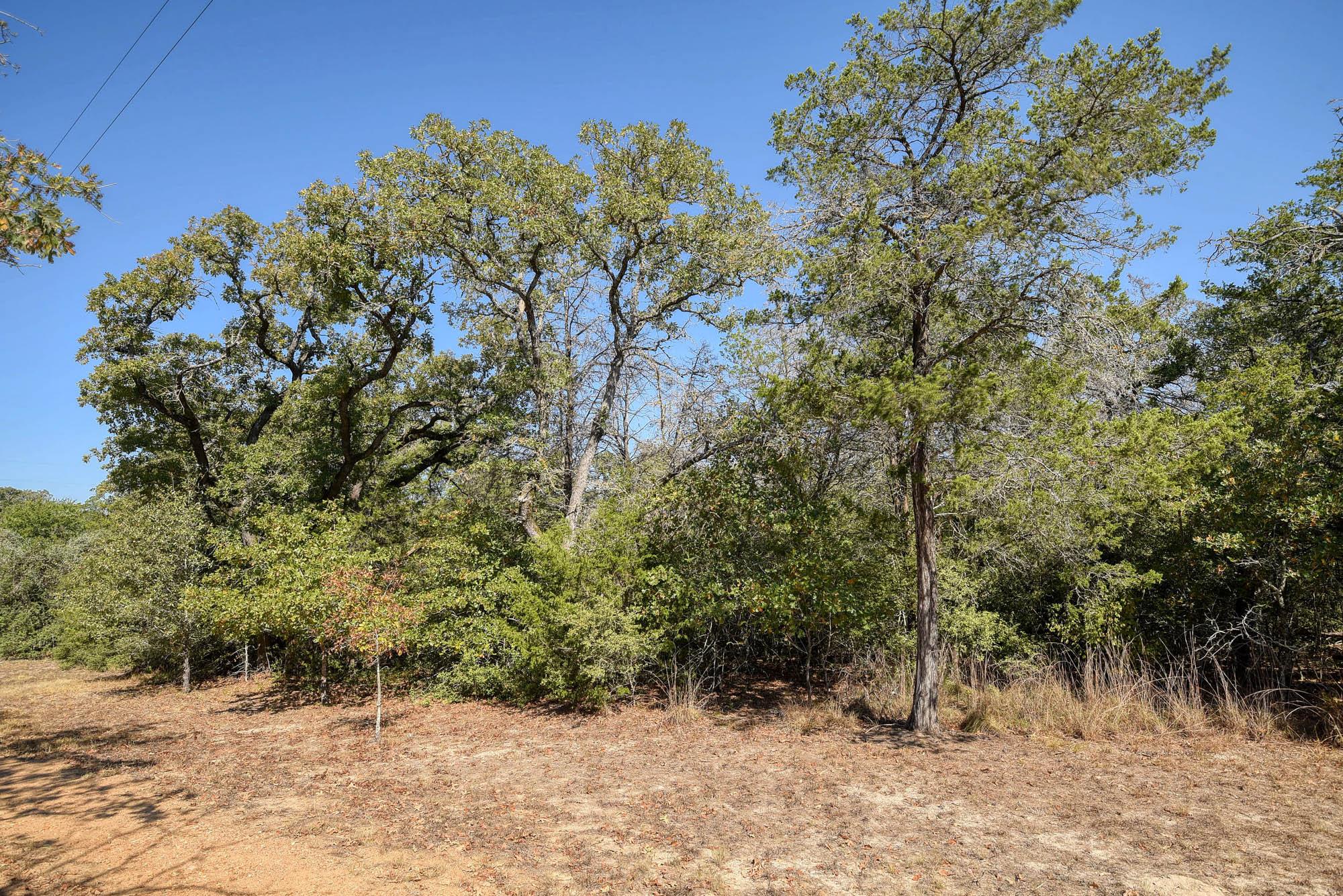 181 Lockwood Rd, Red Rock, TX 78662