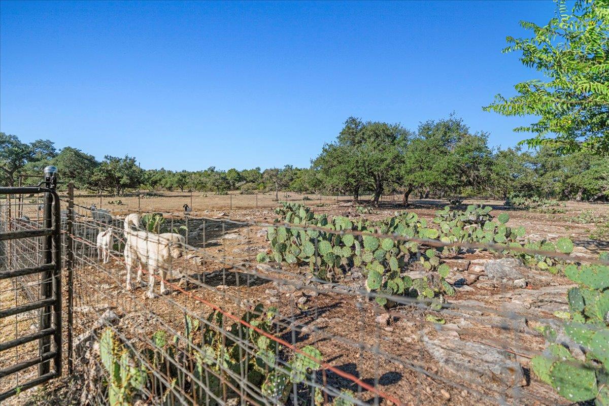 2501 LONE MAN MOUNTAIN Rd, Wimberley, TX 78676