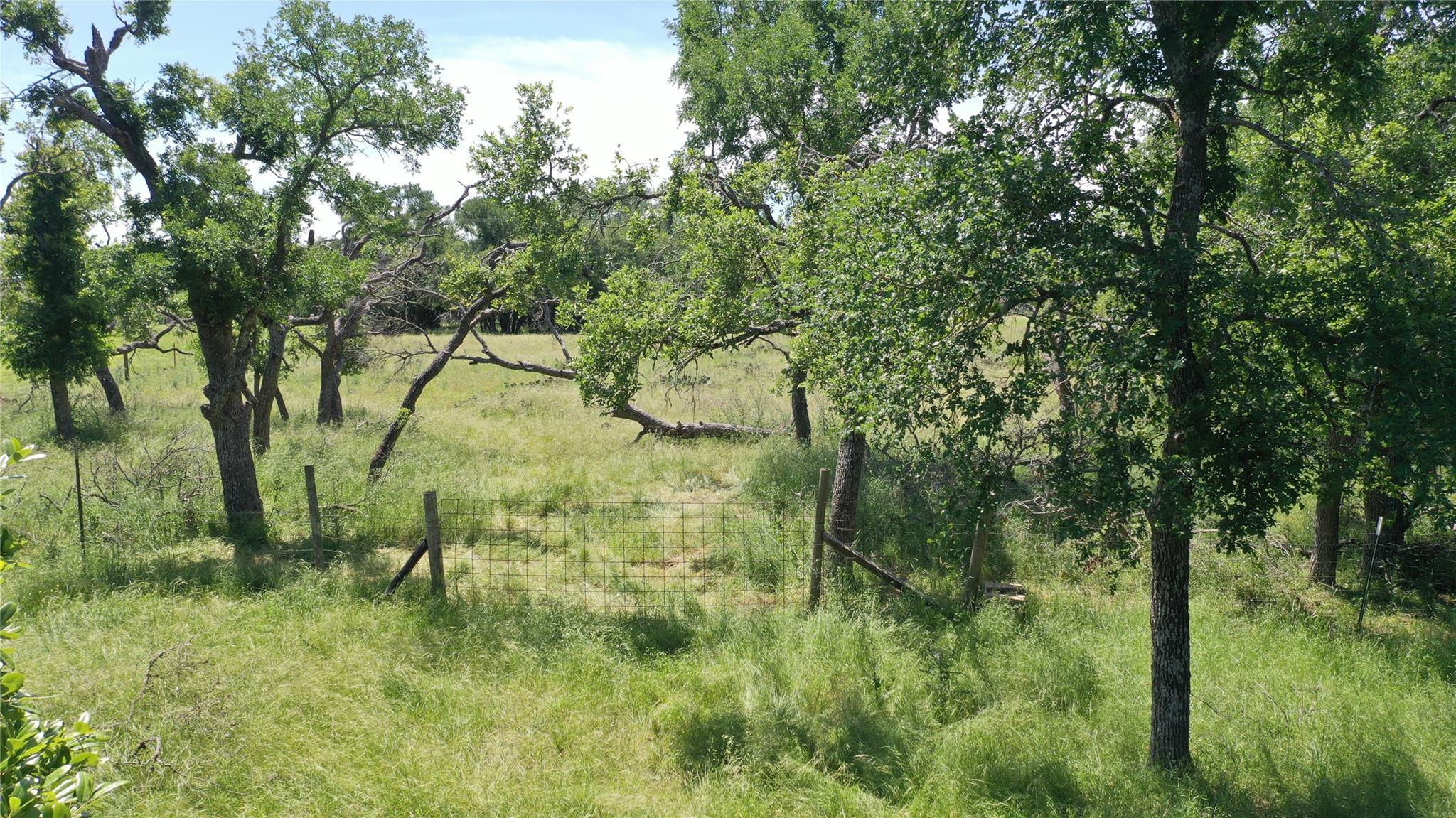 3215 County Road 305, Jarrell, TX 76537