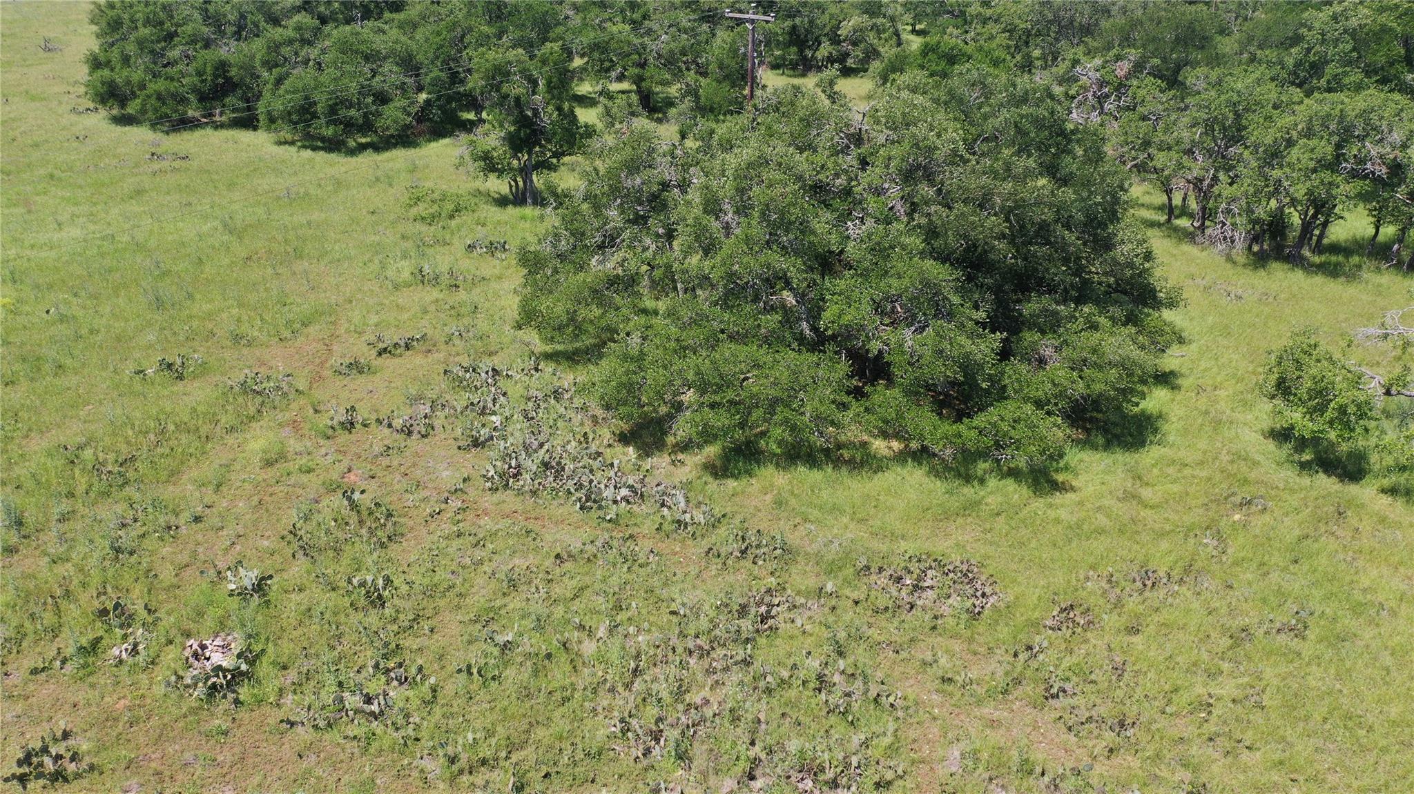 3215 County Road 305, Jarrell, TX 76537