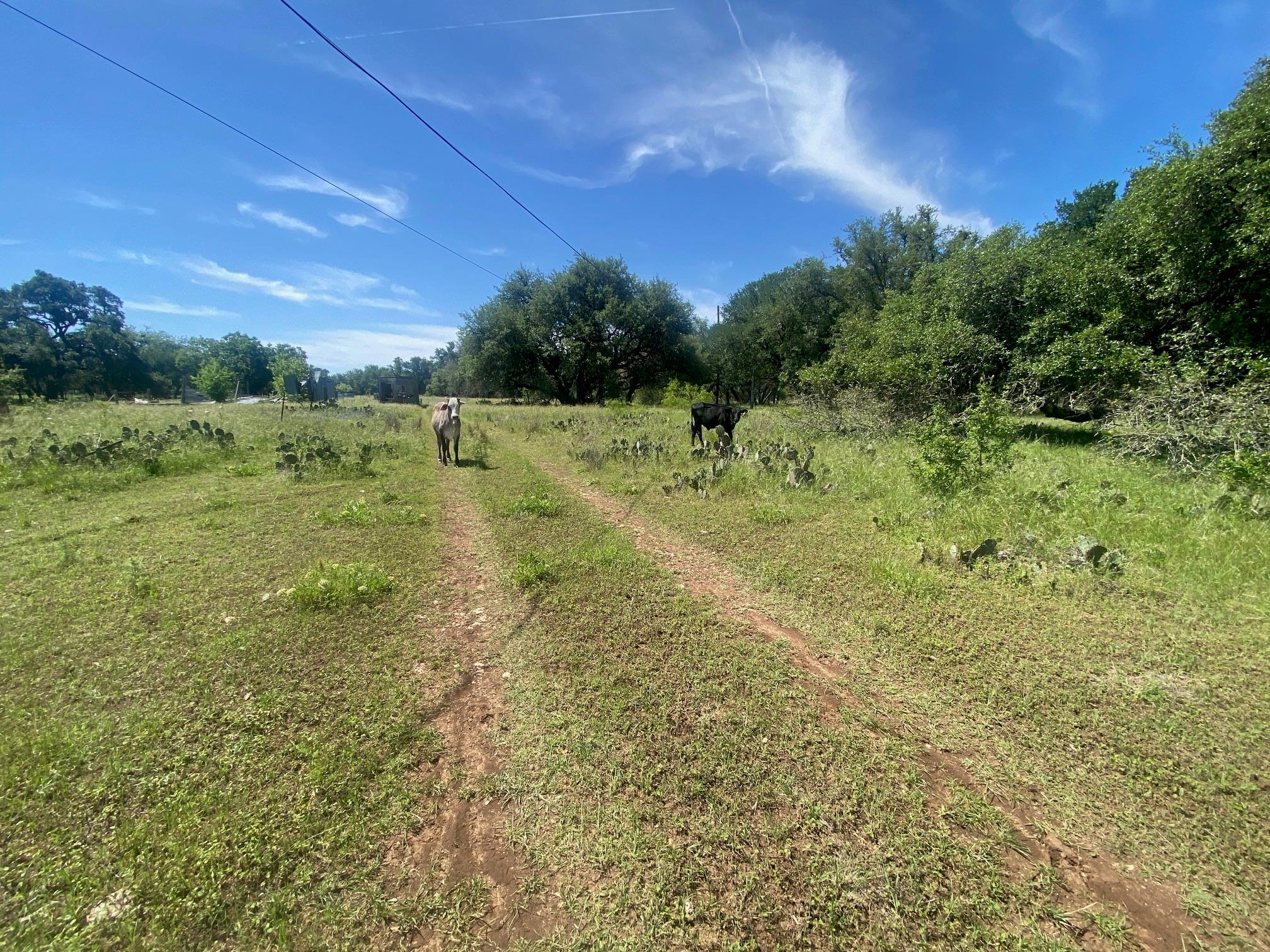 3215 County Road 305, Jarrell, TX 76537