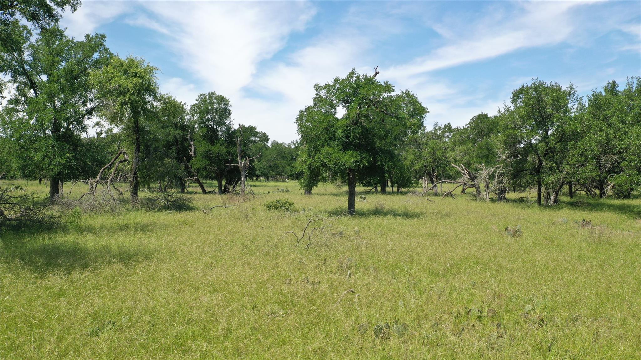 3215 County Road 305, Jarrell, TX 76537