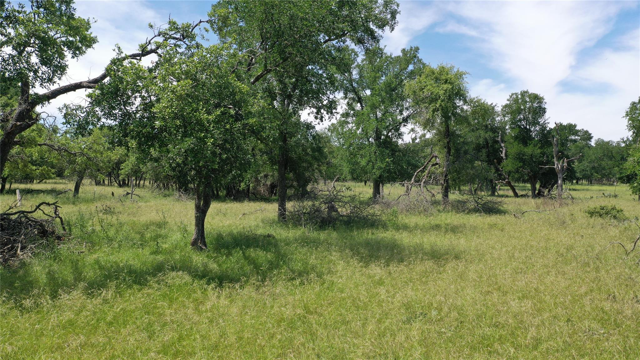 3215 County Road 305, Jarrell, TX 76537