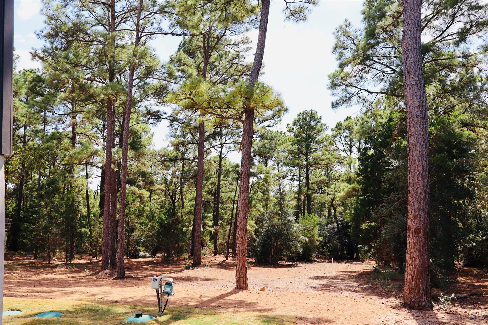 109 E Keanahalululu Ln, Bastrop, TX 78602