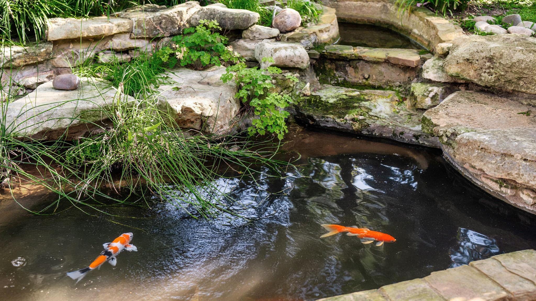 2036 Wimberly Ln, Austin, TX 78735