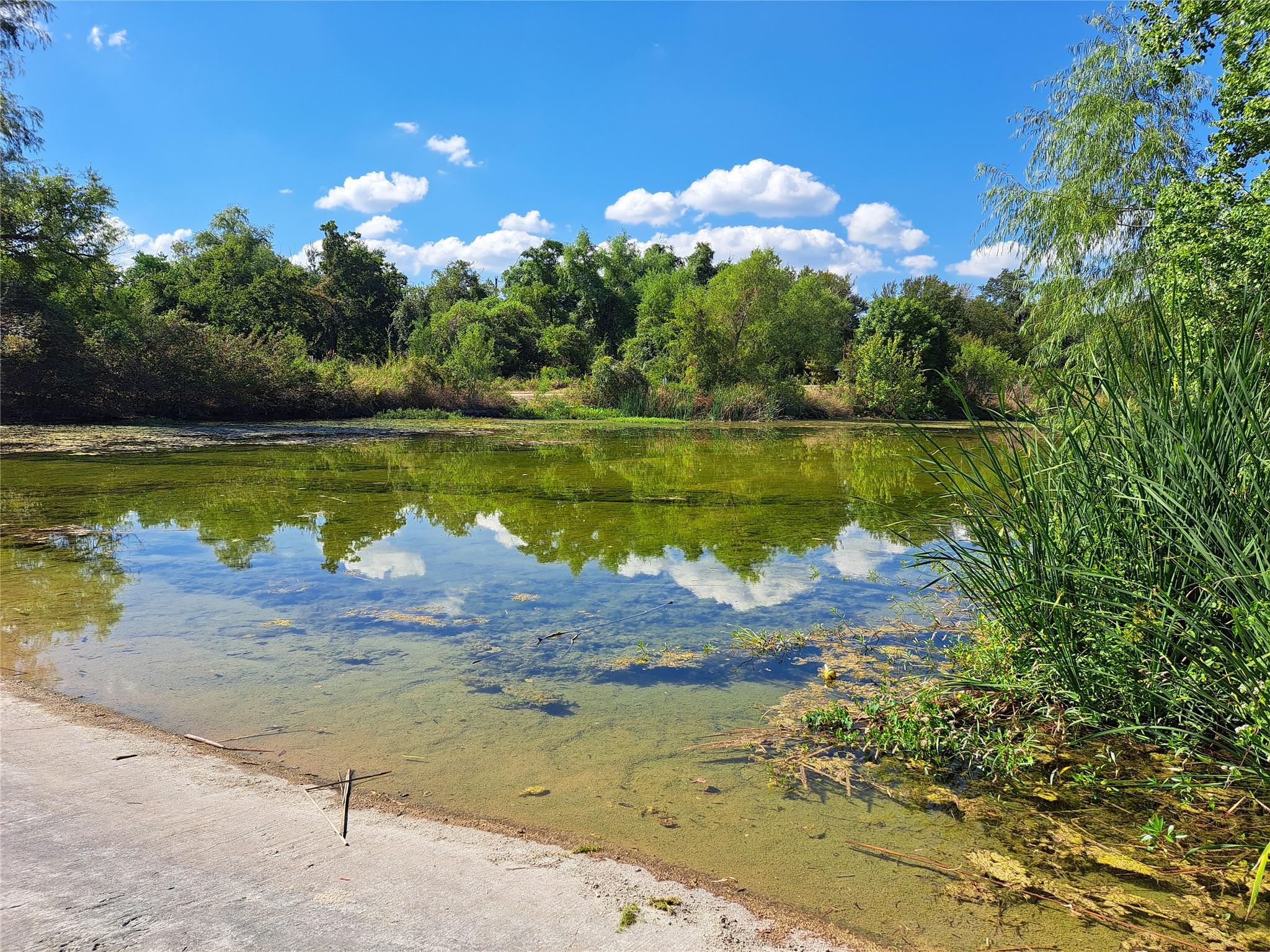 8540 White Ibis Dr, Austin, TX 78729