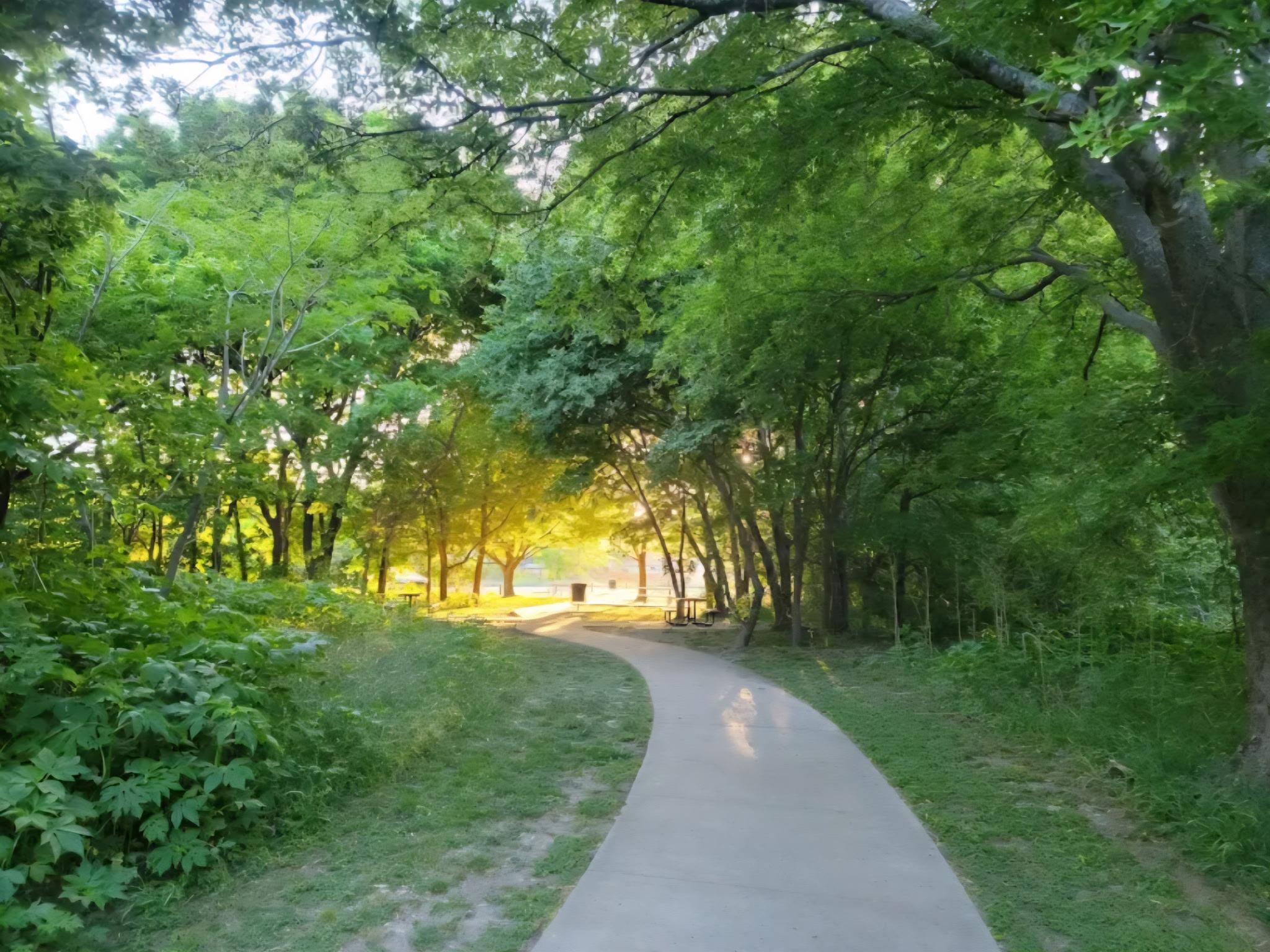 8540 White Ibis Dr, Austin, TX 78729