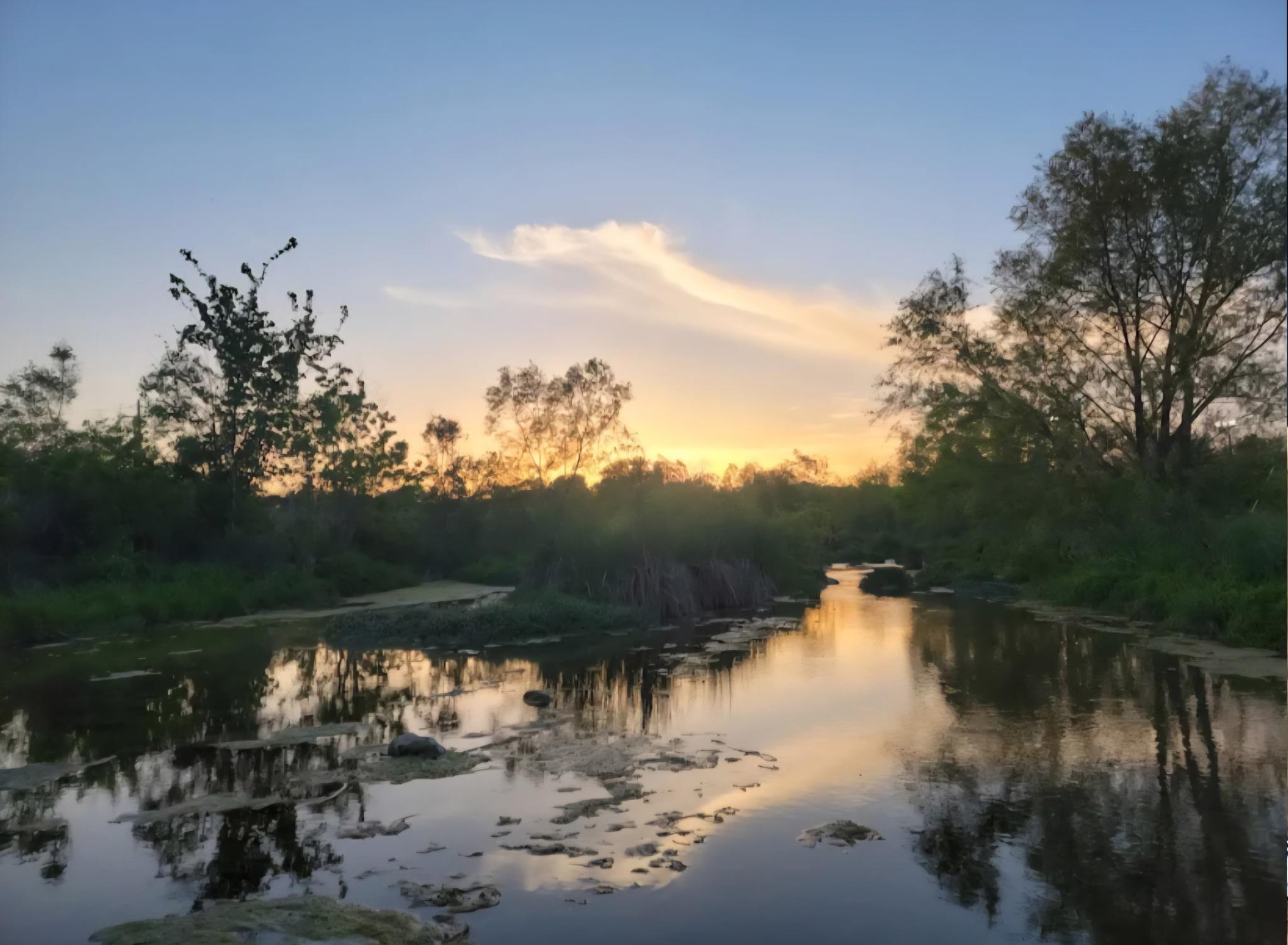 8540 White Ibis Dr, Austin, TX 78729