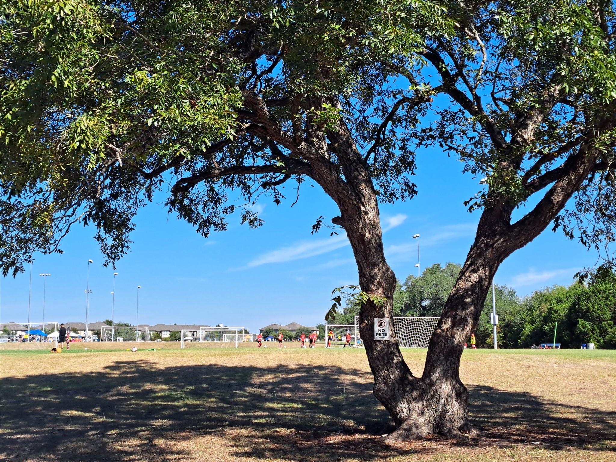 8540 White Ibis Dr, Austin, TX 78729