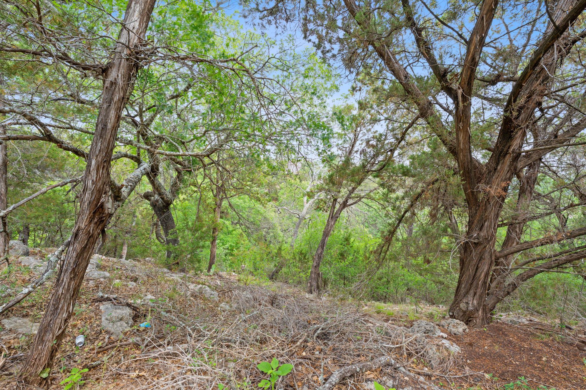 7201 Getaway Dr, Jonestown, TX 78645