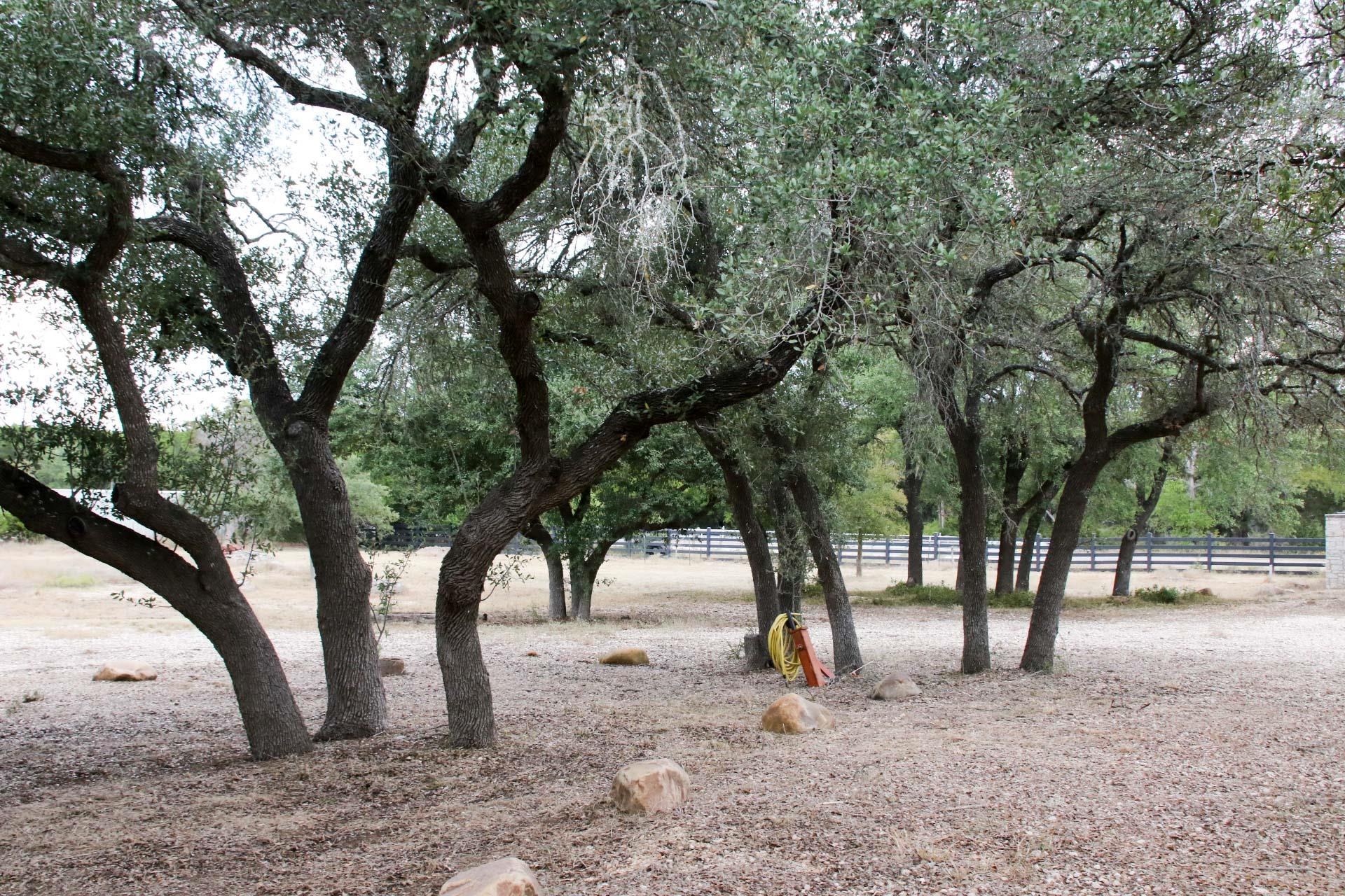 18001 Fm 150 W, Driftwood, TX 78619