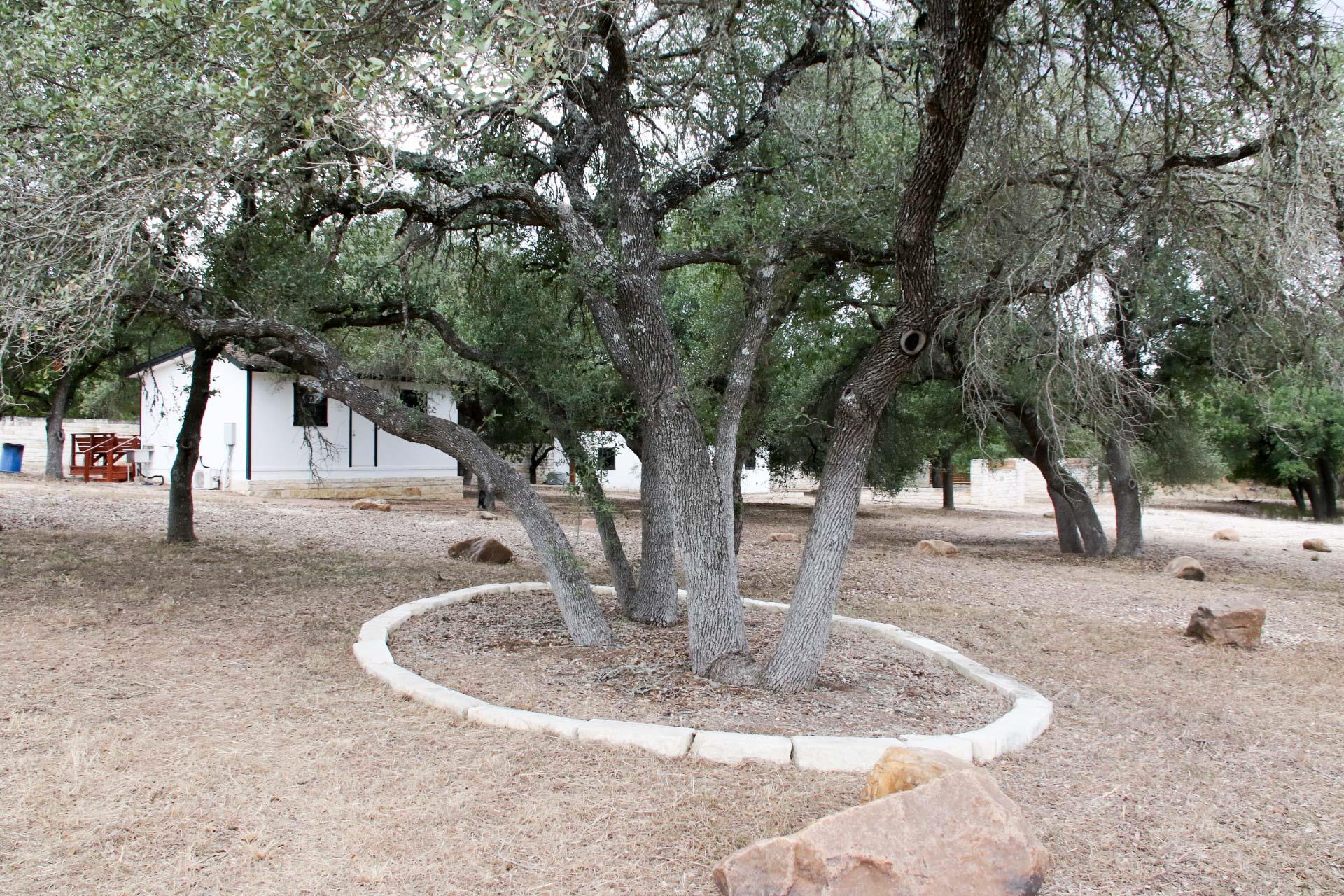 18001 Fm 150 W, Driftwood, TX 78619