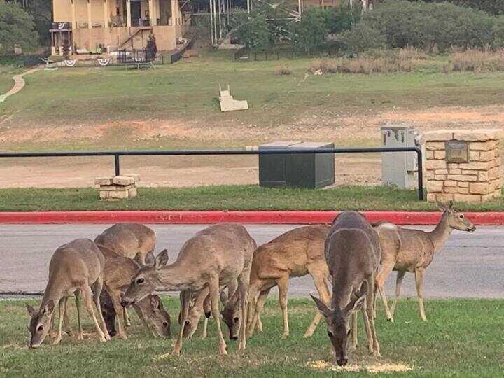 3404 American Dr # 2216, Lago Vista, TX 78645