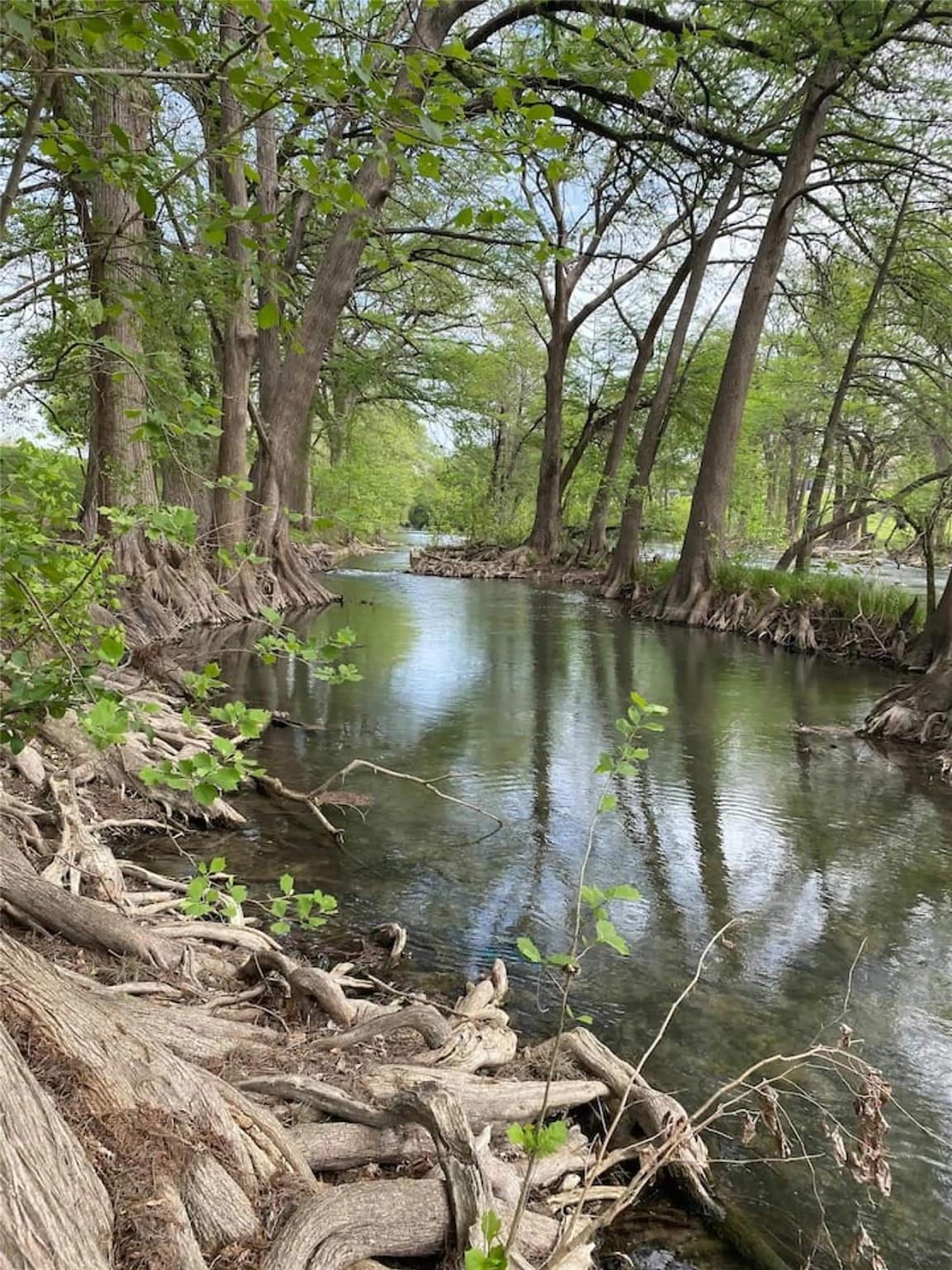 730 E Mather St, New Braunfels, TX 78130