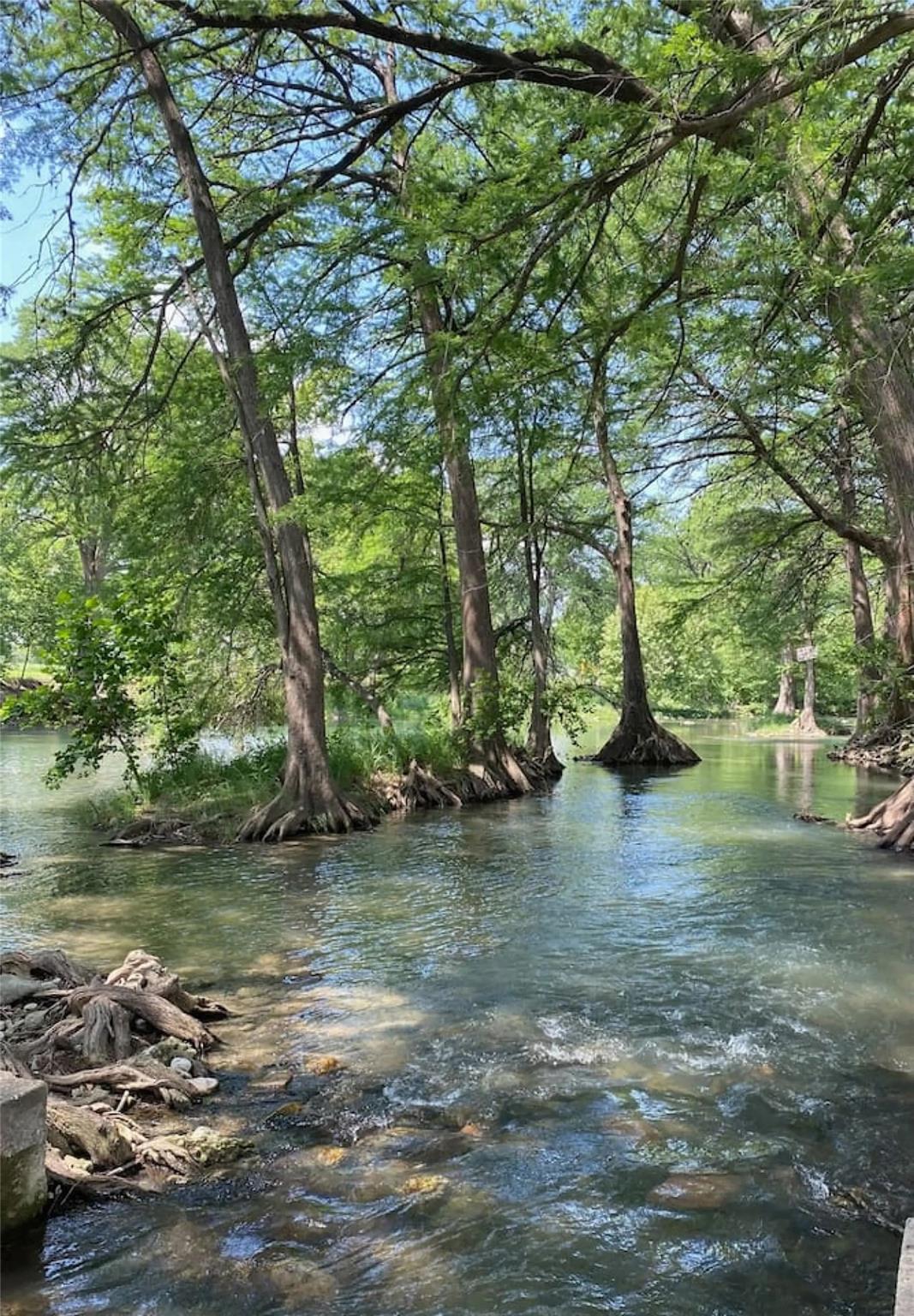 730 E Mather St, New Braunfels, TX 78130