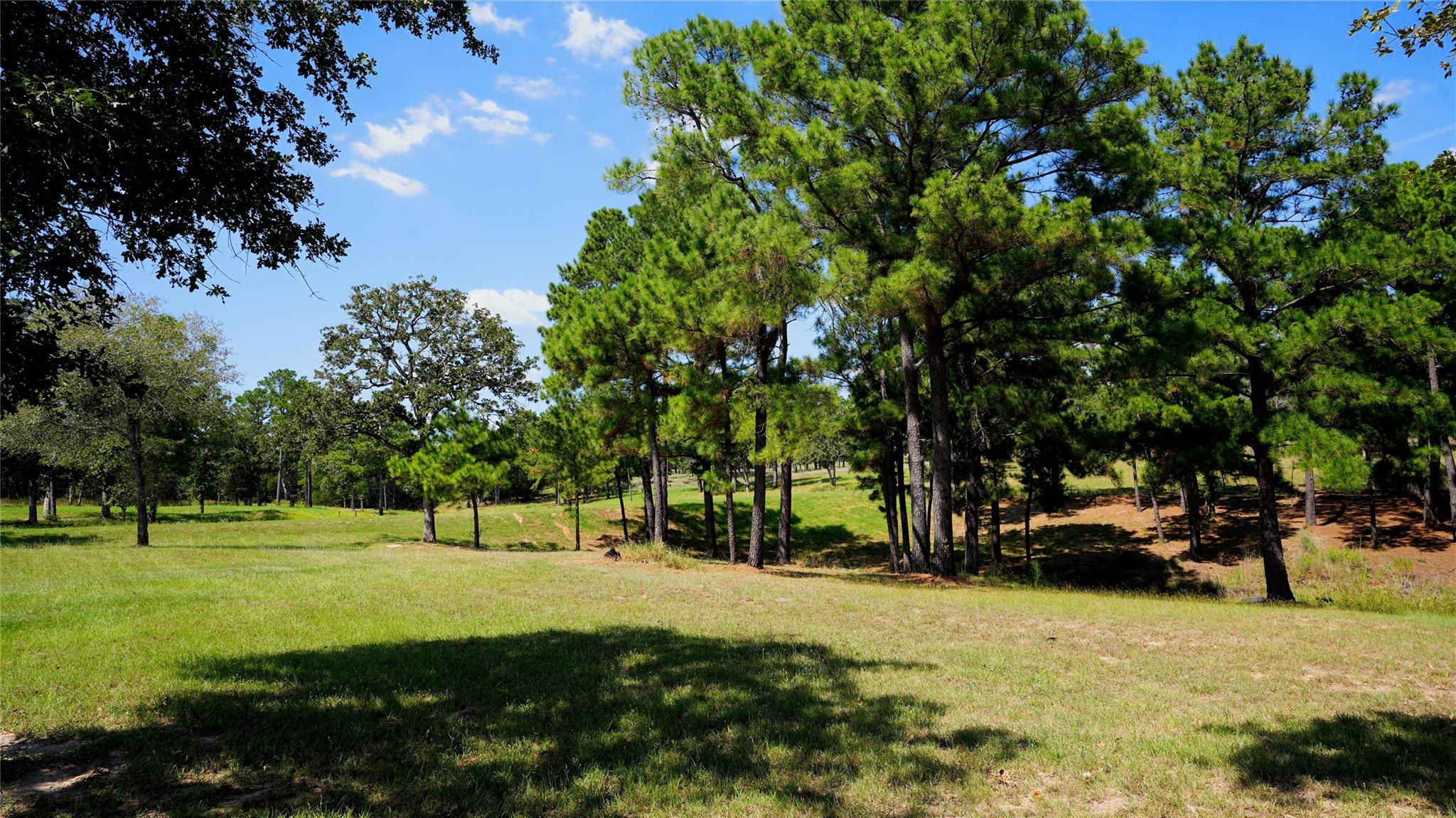 2438 Fm 535 Highway, Rosanky, TX 78953