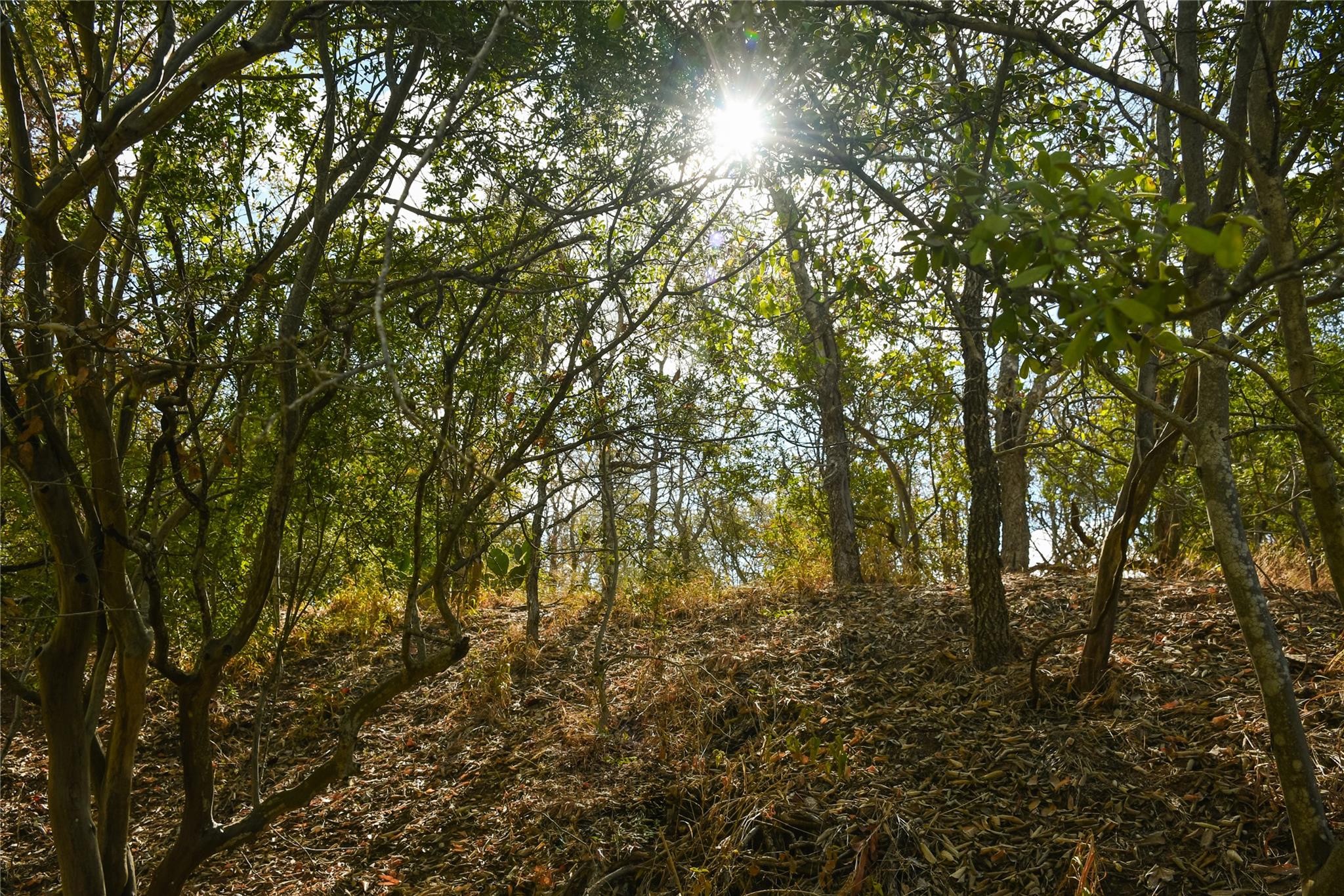 307 Kahana Ln, Bastrop, TX 78602