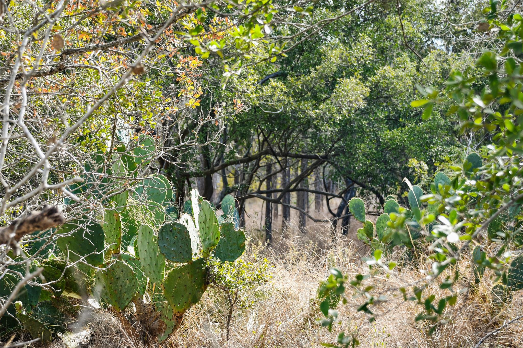 307 Kahana Ln, Bastrop, TX 78602