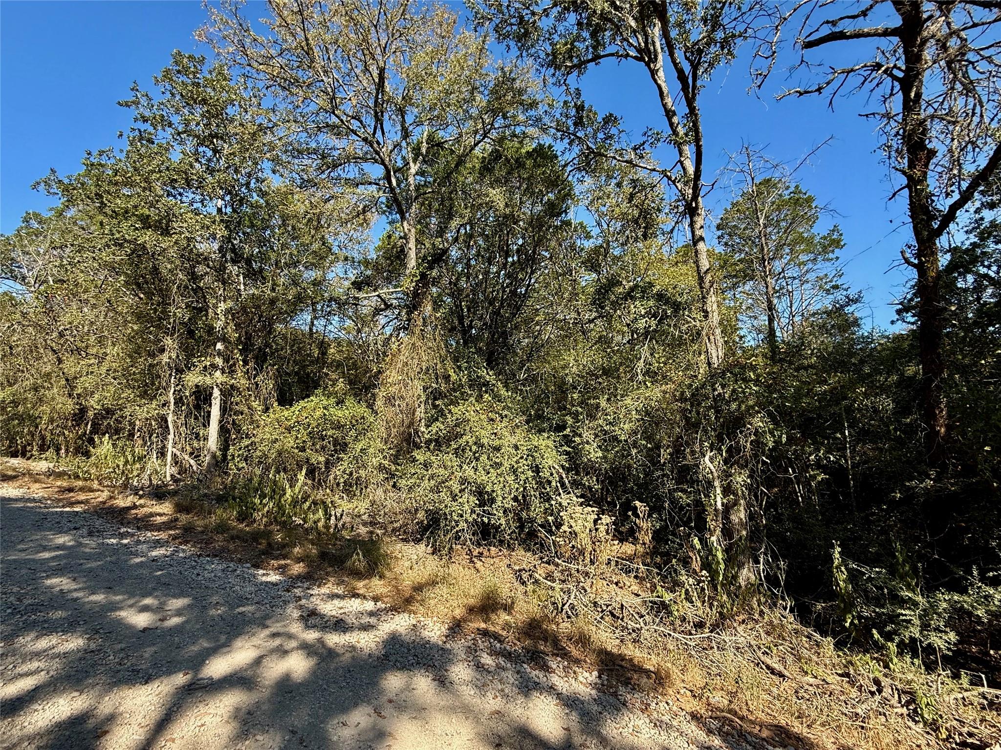 TBD Lots 1232 & 1233 Hanauma Dr, Bastrop, TX 78602