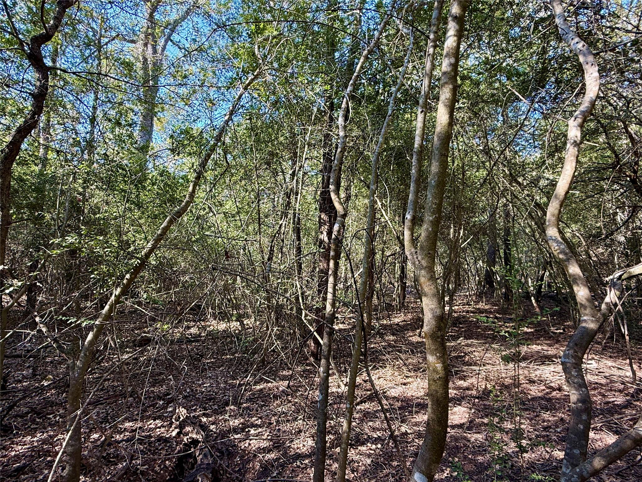 TBD Lots 1232 & 1233 Hanauma Dr, Bastrop, TX 78602