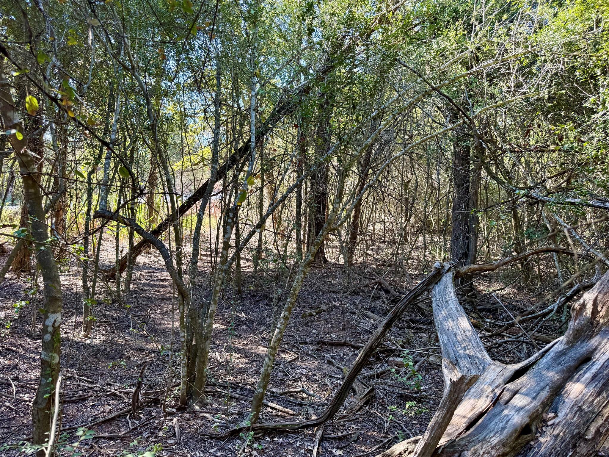 TBD Lots 1232 & 1233 Hanauma Dr, Bastrop, TX 78602