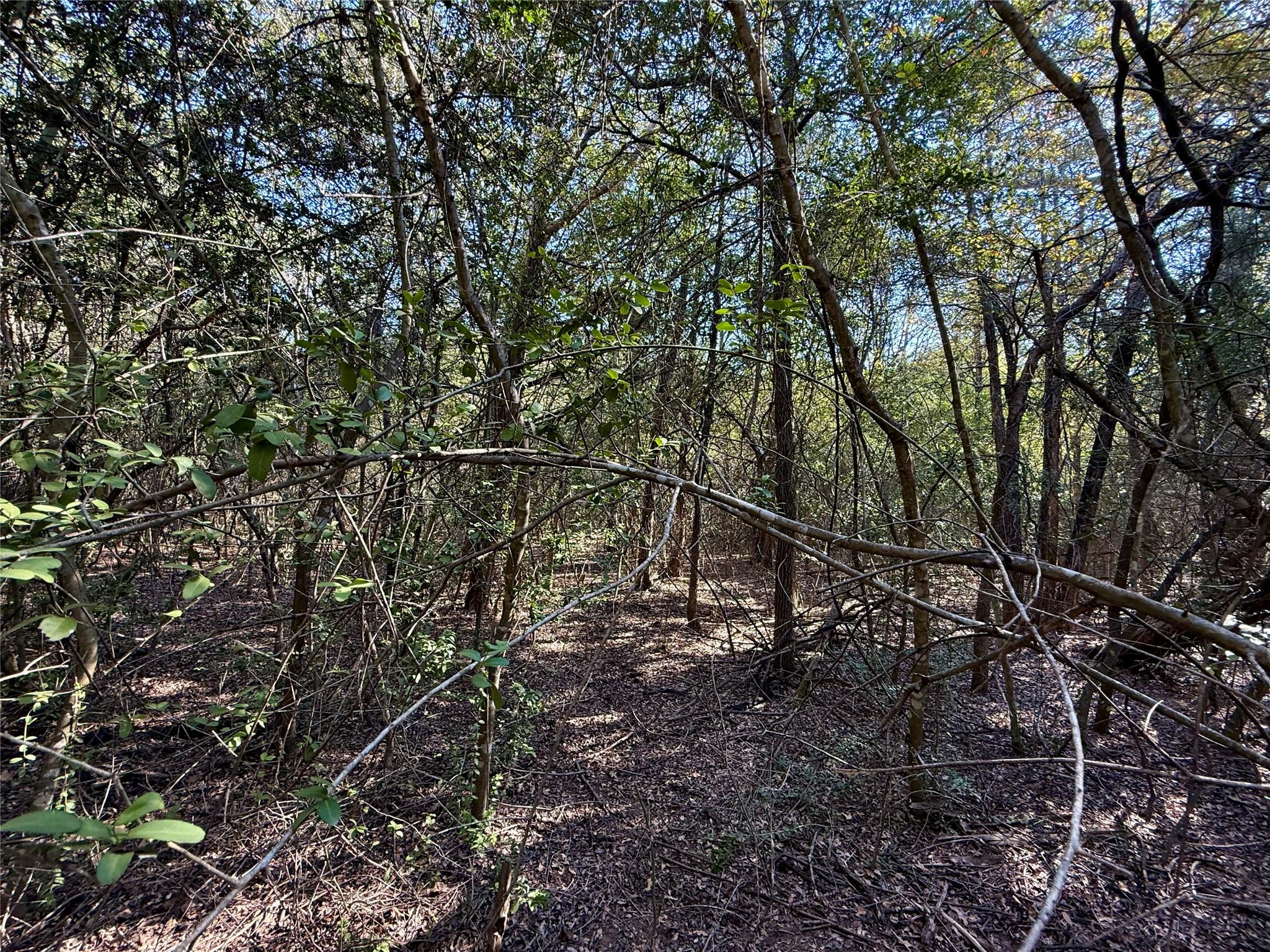 TBD Lots 1232 & 1233 Hanauma Dr, Bastrop, TX 78602