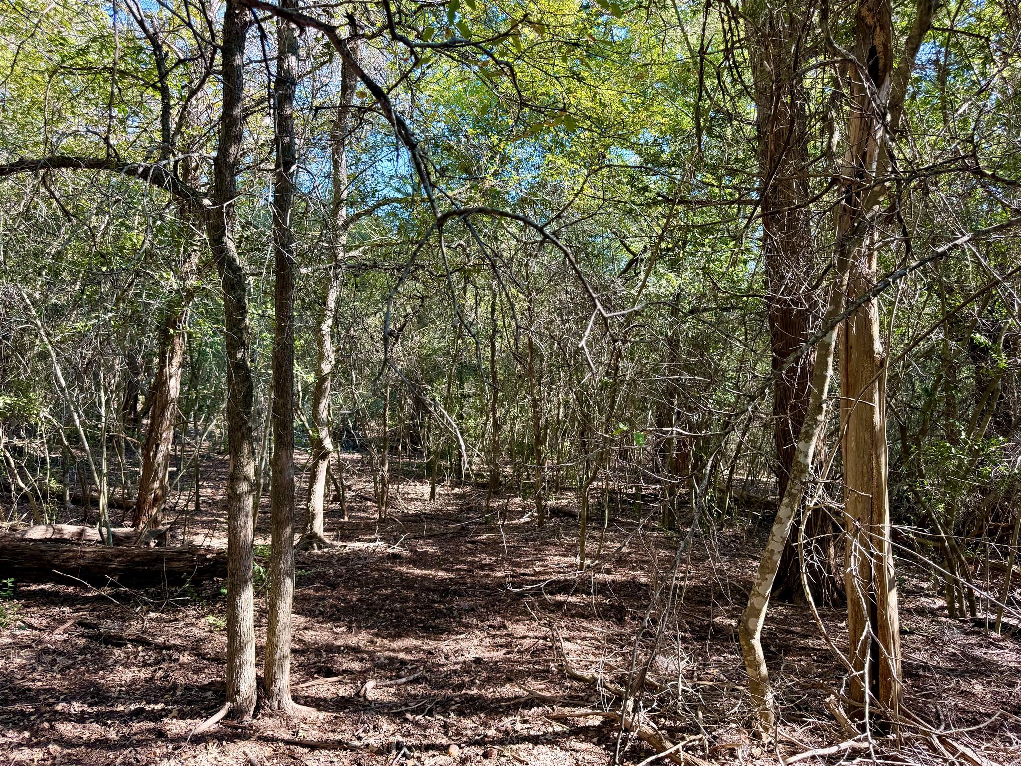 TBD Lots 1232 & 1233 Hanauma Dr, Bastrop, TX 78602