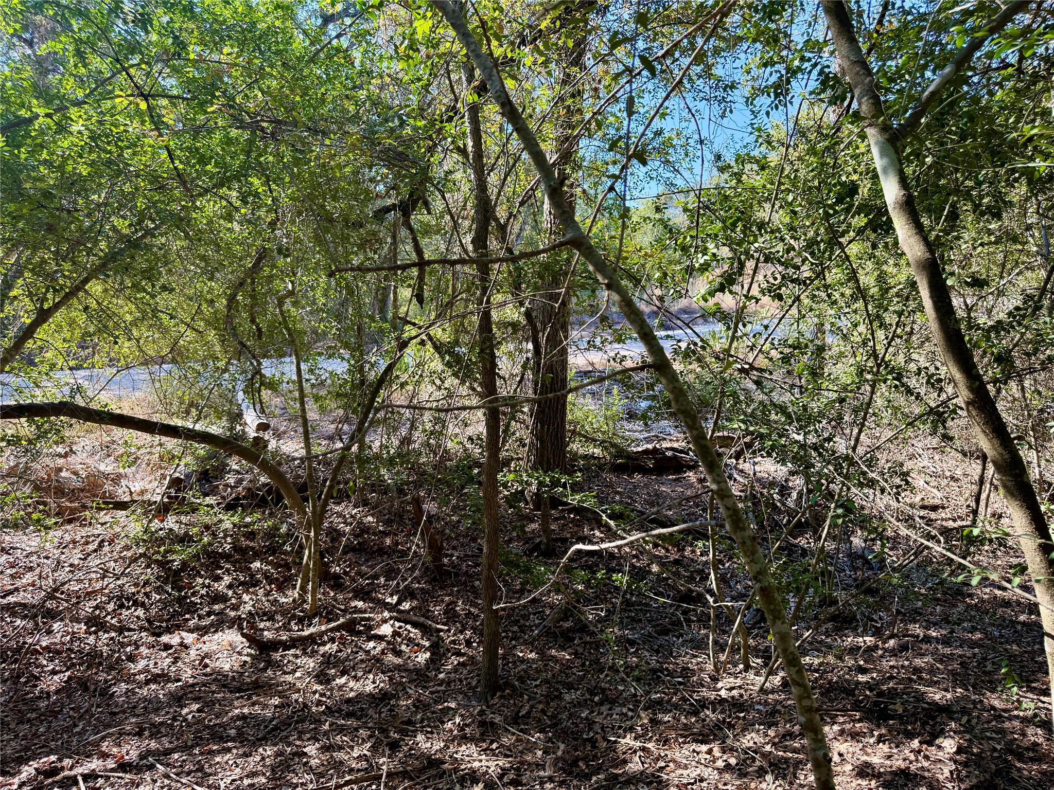 TBD Lots 1232 & 1233 Hanauma Dr, Bastrop, TX 78602